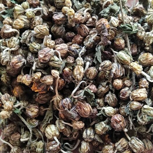 光山县菊花茶  野菊花 河南信阳野菊花烘干选货