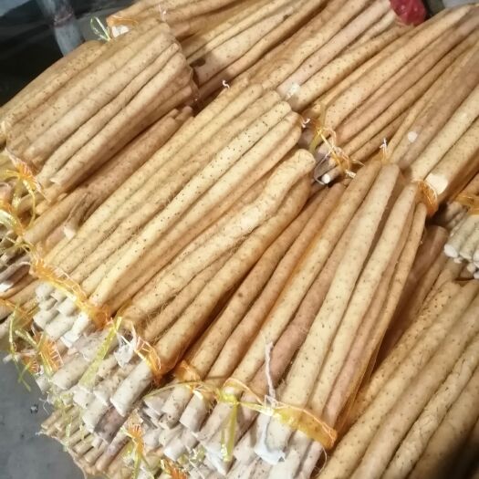 安平县小白嘴山药  大量新货上市