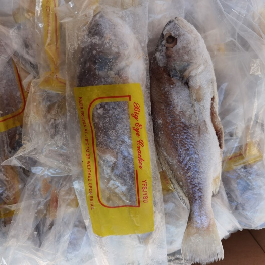 郑州三去黄菇鱼
