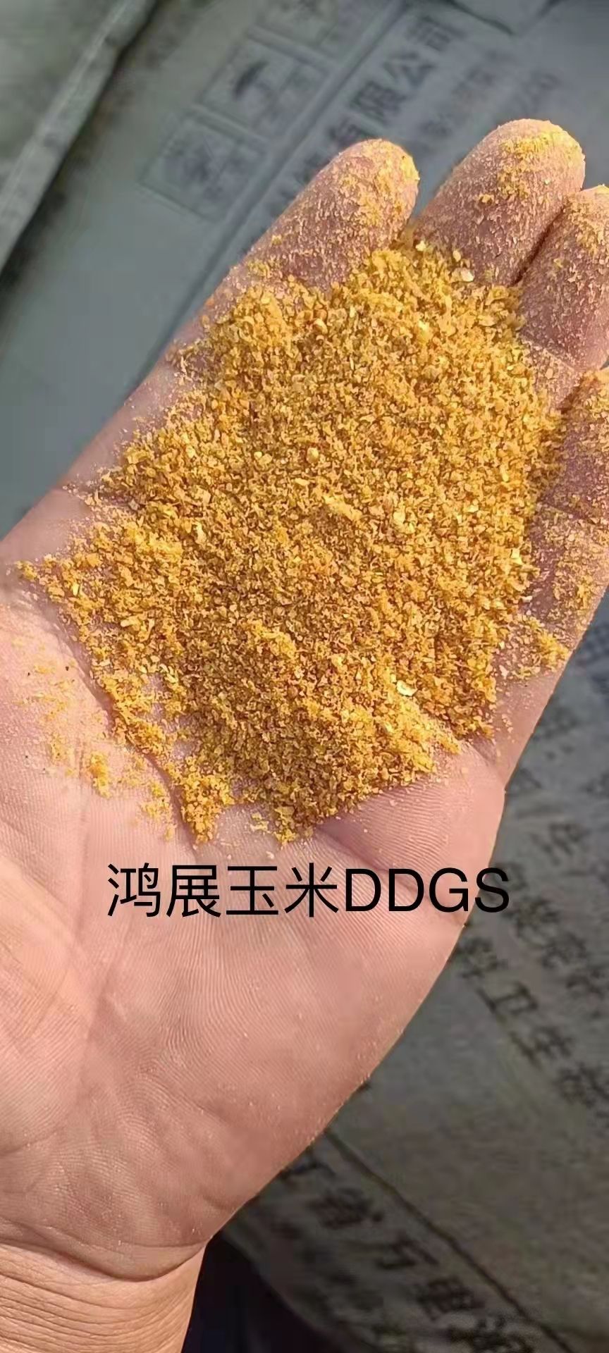 膨化玉米  玉米酒糟DDGS