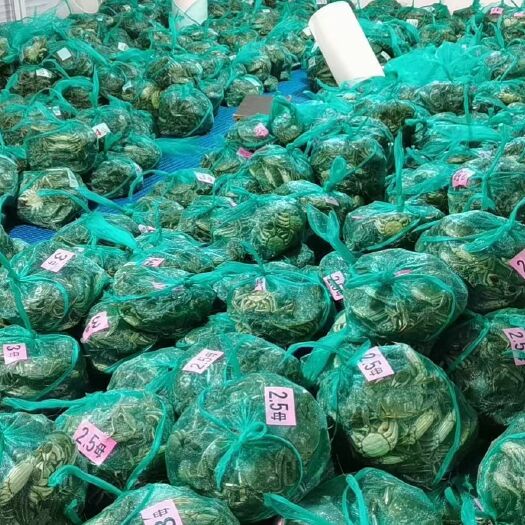 淮安大闸蟹 规格好，品质好