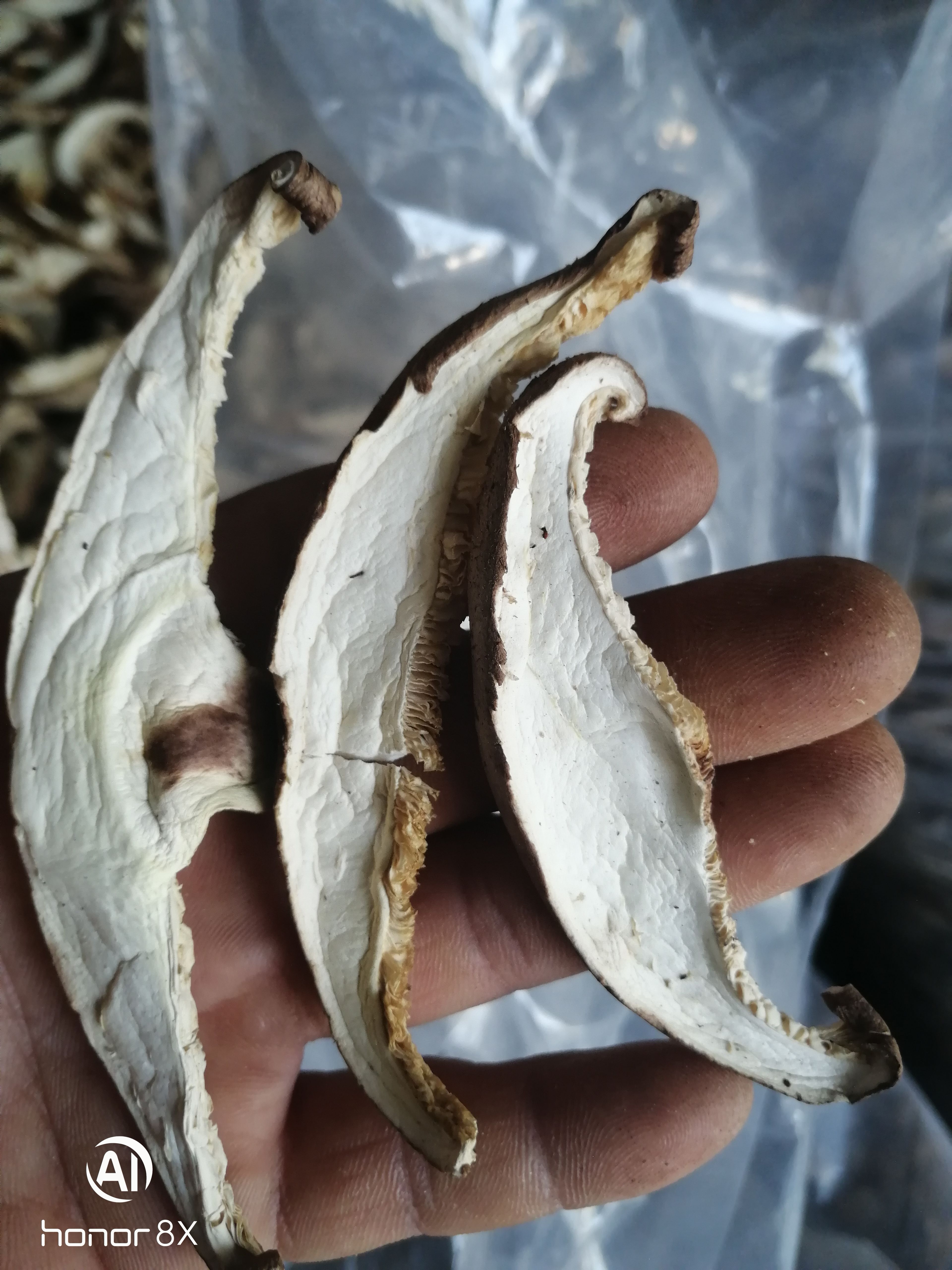 干香菇片 香菇丝，电烘干色泽白亮2025新菇片