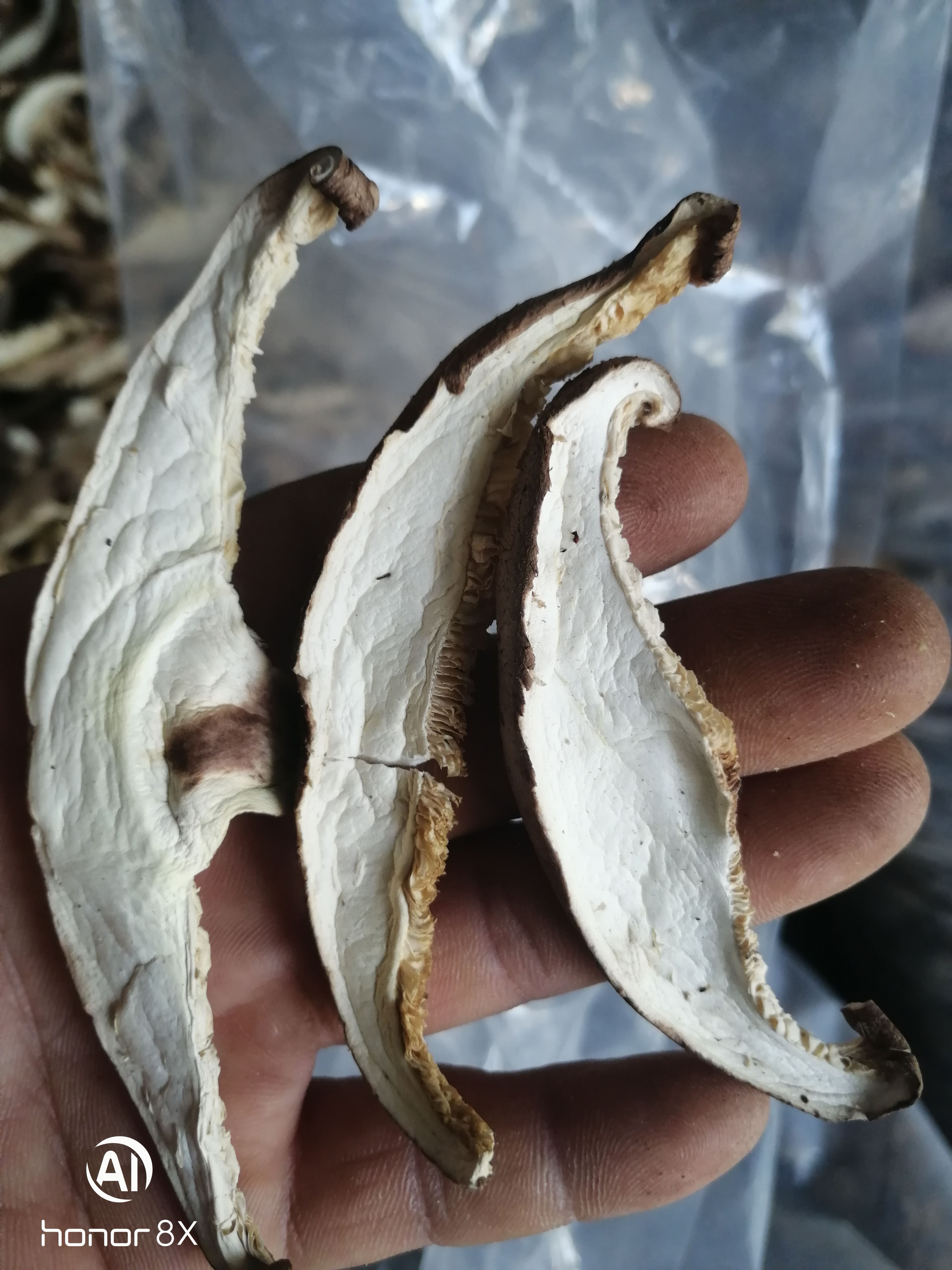 干香菇片 香菇丝，电烘干色泽白亮2025新菇片