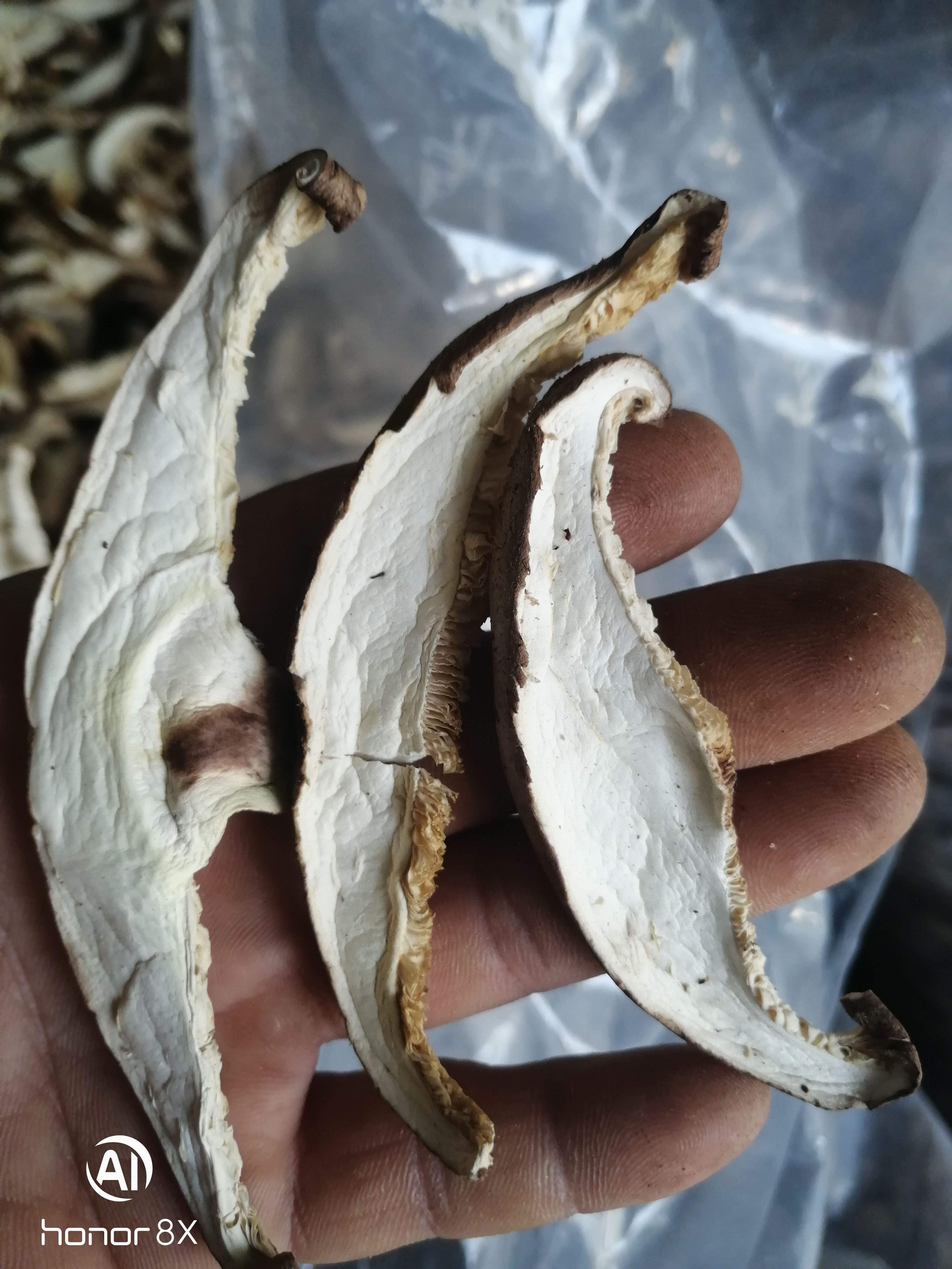 干香菇片 香菇丝，电烘干色泽白亮2025新菇片