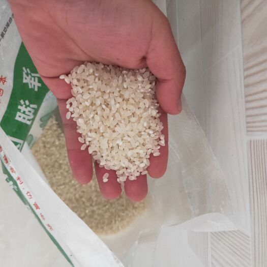 淮安 洪泽岔河大米，香米