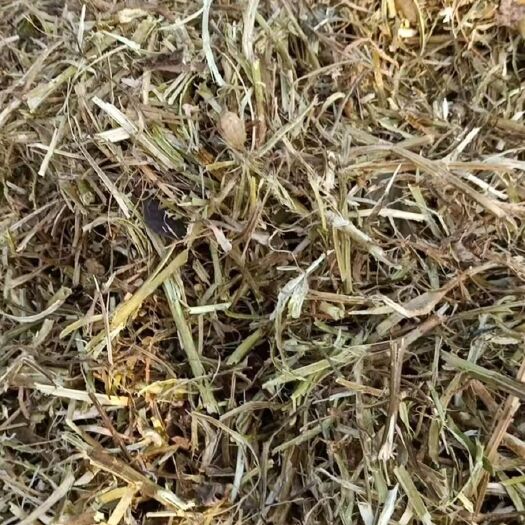 叶县花生秧揉丝除尘保证质量