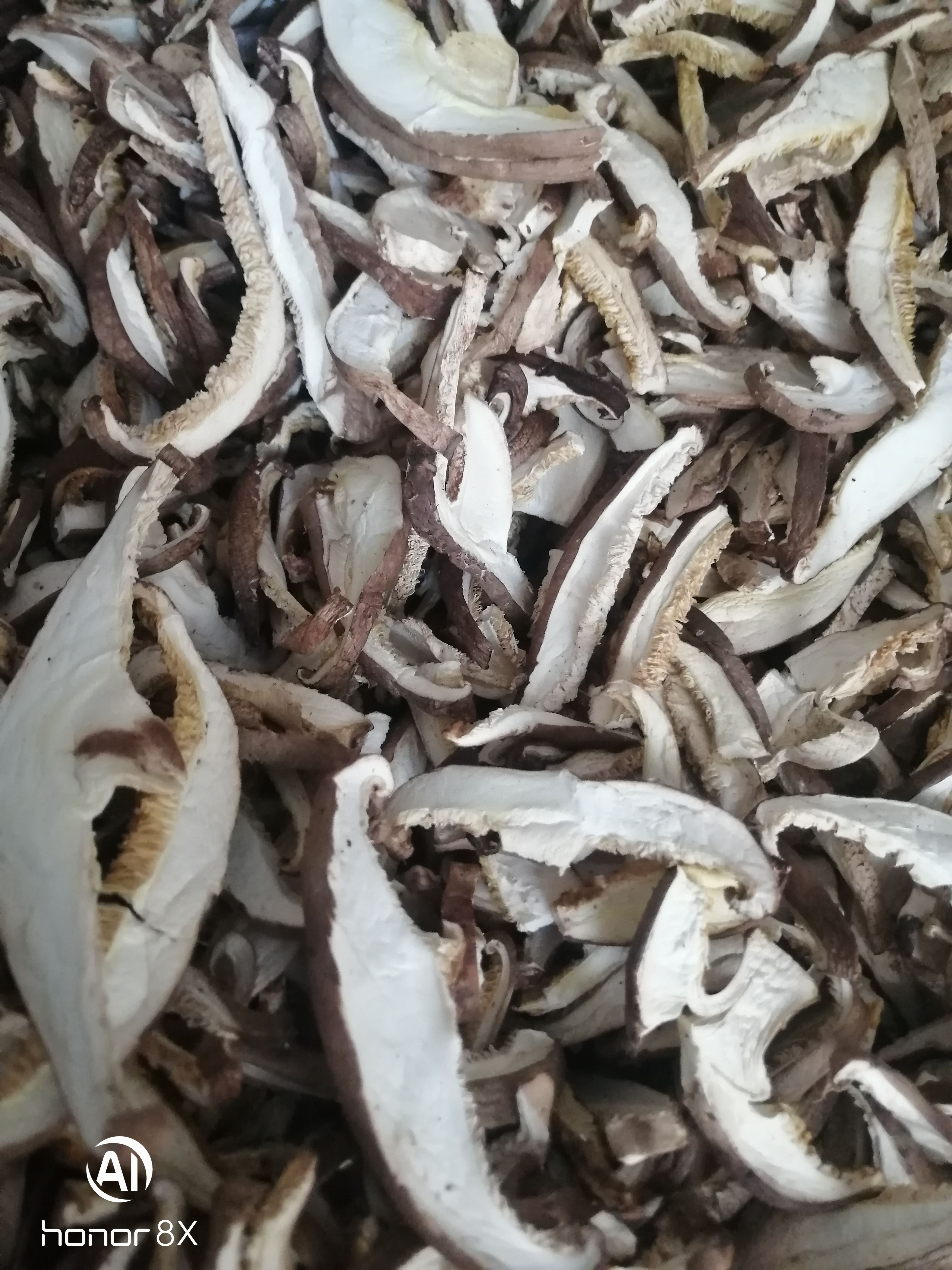 干香菇片 香菇丝，电烘干色泽白亮2025新菇片