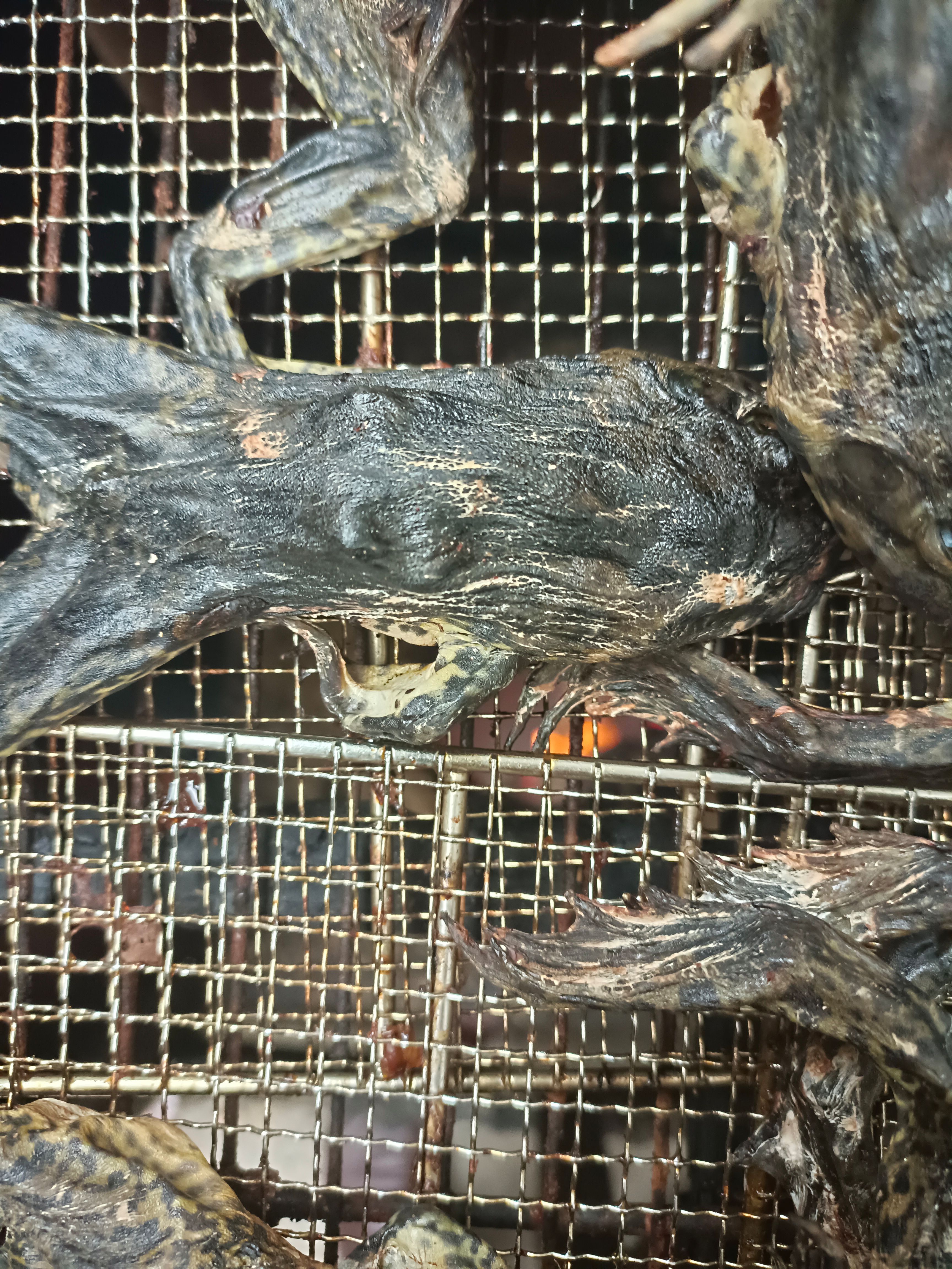 腊蛙  腊牛蛙腊青蛙田鸡