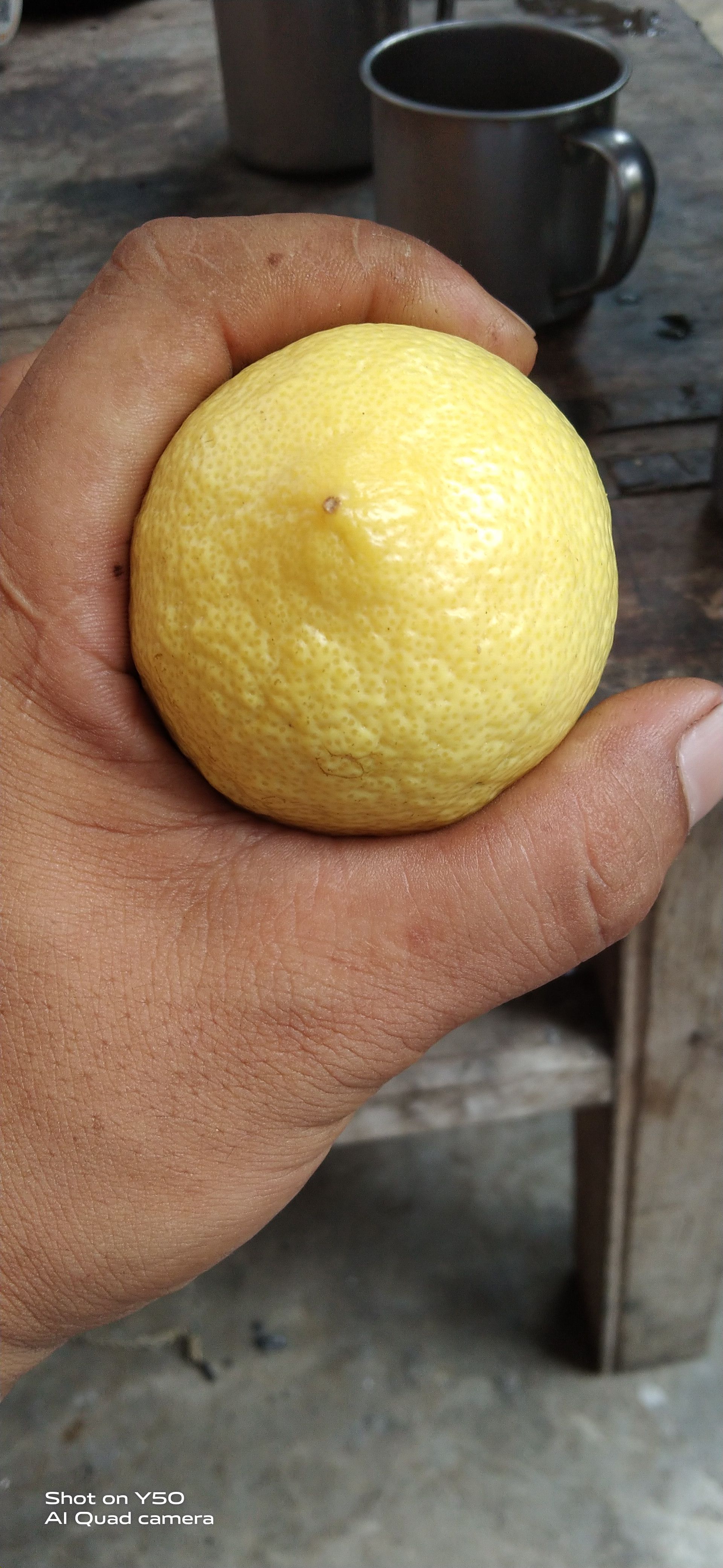 莱姆柠檬  汁多皮薄