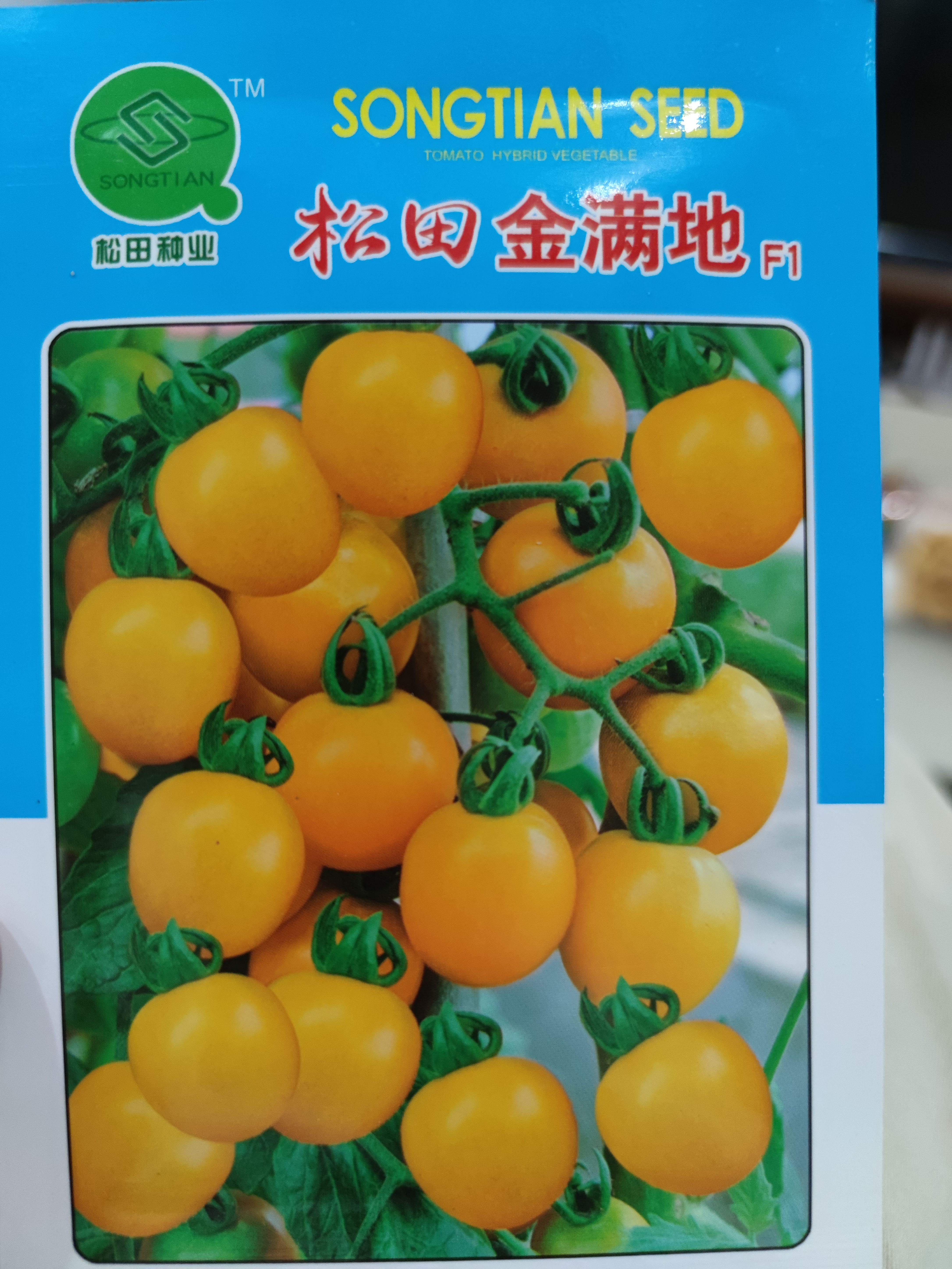西红柿种子  松田金满地番茄种子，水果型早熟小番茄一代杂交品种,植株长势强