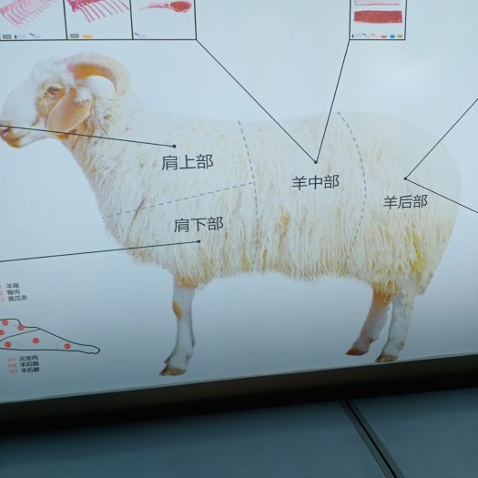 白条羊  羊肉，宁夏盐池县滩羊肉