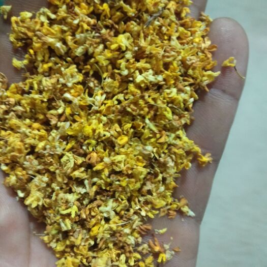 岳西县桂花瓣 桂花干新货