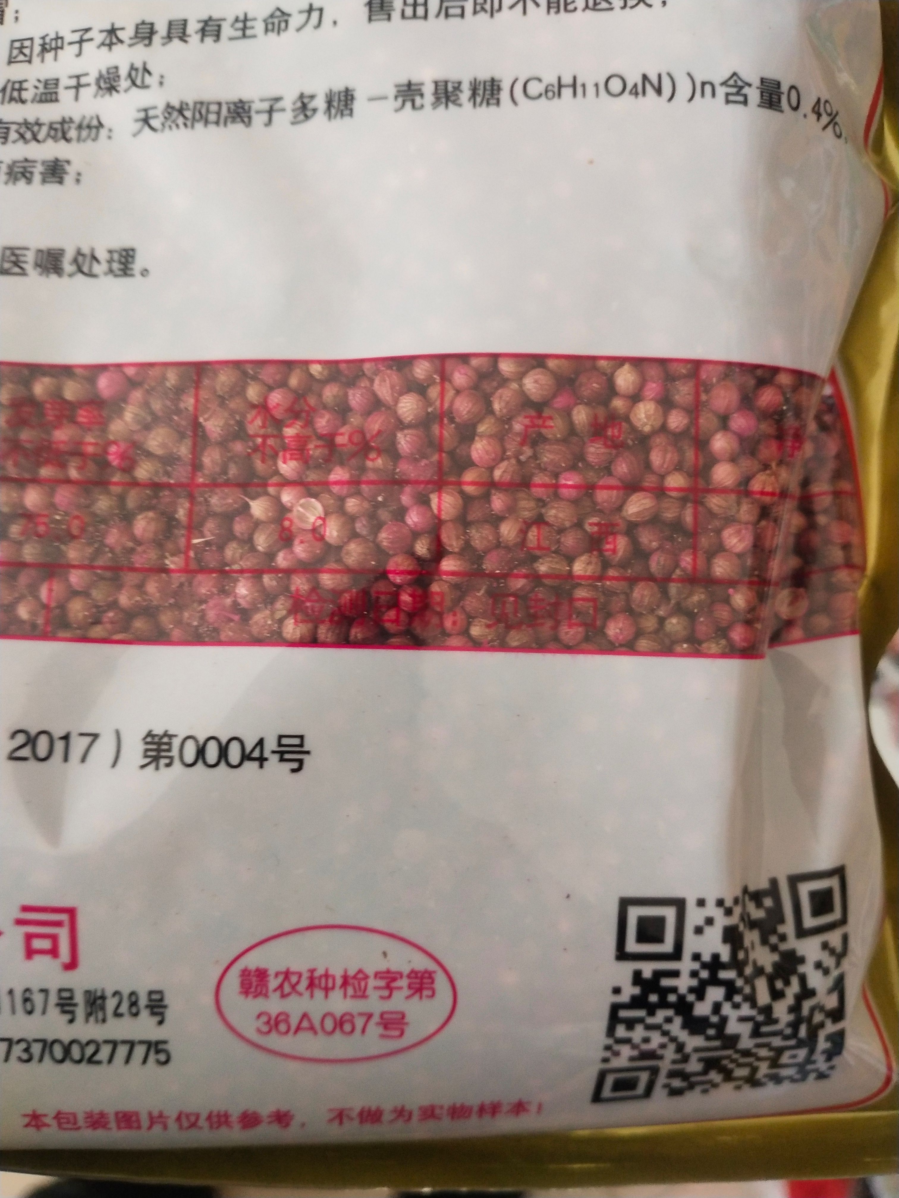 香菜种子 耐抽苔大叶香菜 369 耐热耐寒生长快速