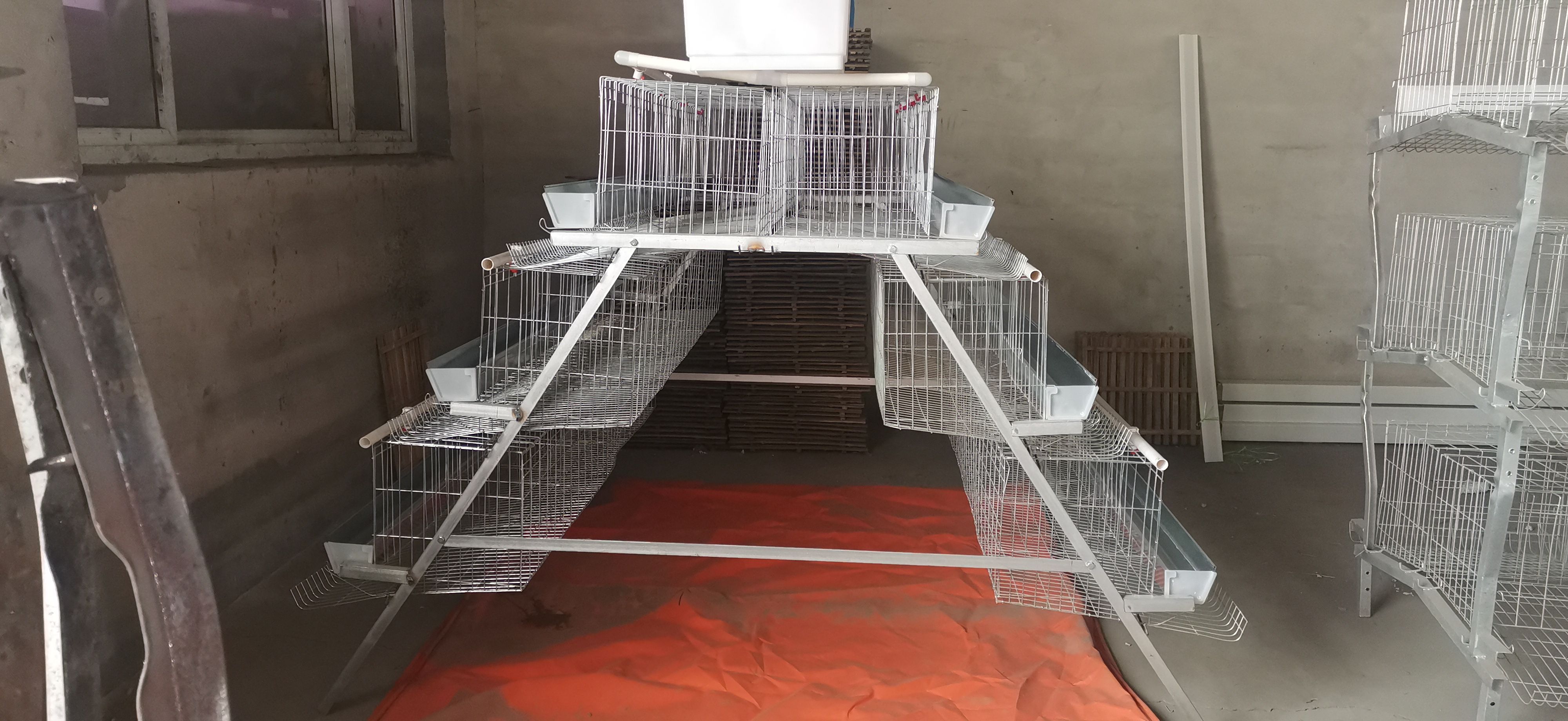 芦丁鸡笼 定做加粗立式加密鹌鹑笼鹧鸪笼小鸡笼家禽养殖笼产蛋笼