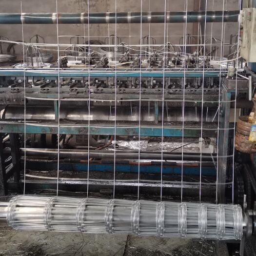 衡水荷兰网  热镀锌铁丝网养羊围栏网防护网钢丝网养殖网拦兰牛栏网