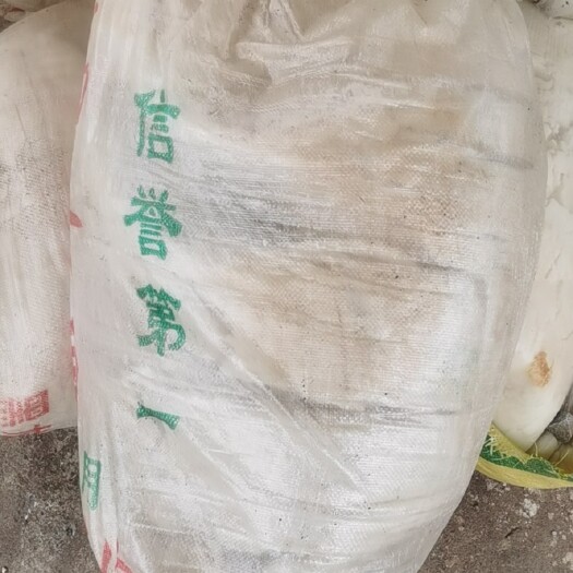 桂平市糟渣类饲料 发酵豆渣