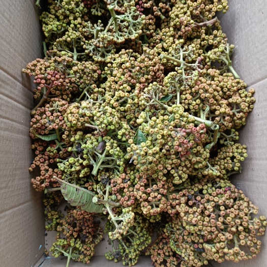 吴茱萸干货 太阳自然晒干 2斤起发货 数量有限先到先