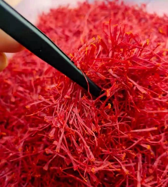 藏红花 伊朗藏红花品质，优质优价