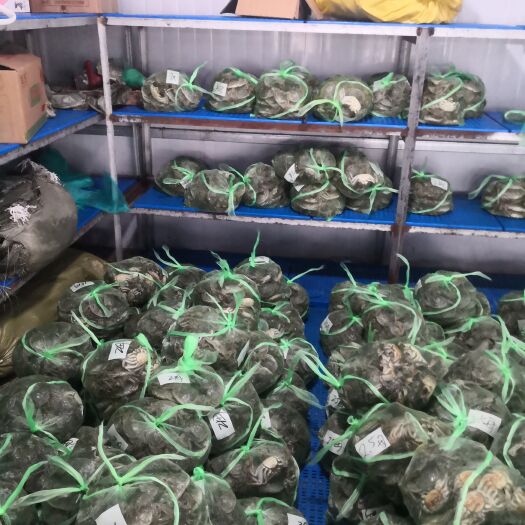 建湖县 建湖大闸蟹