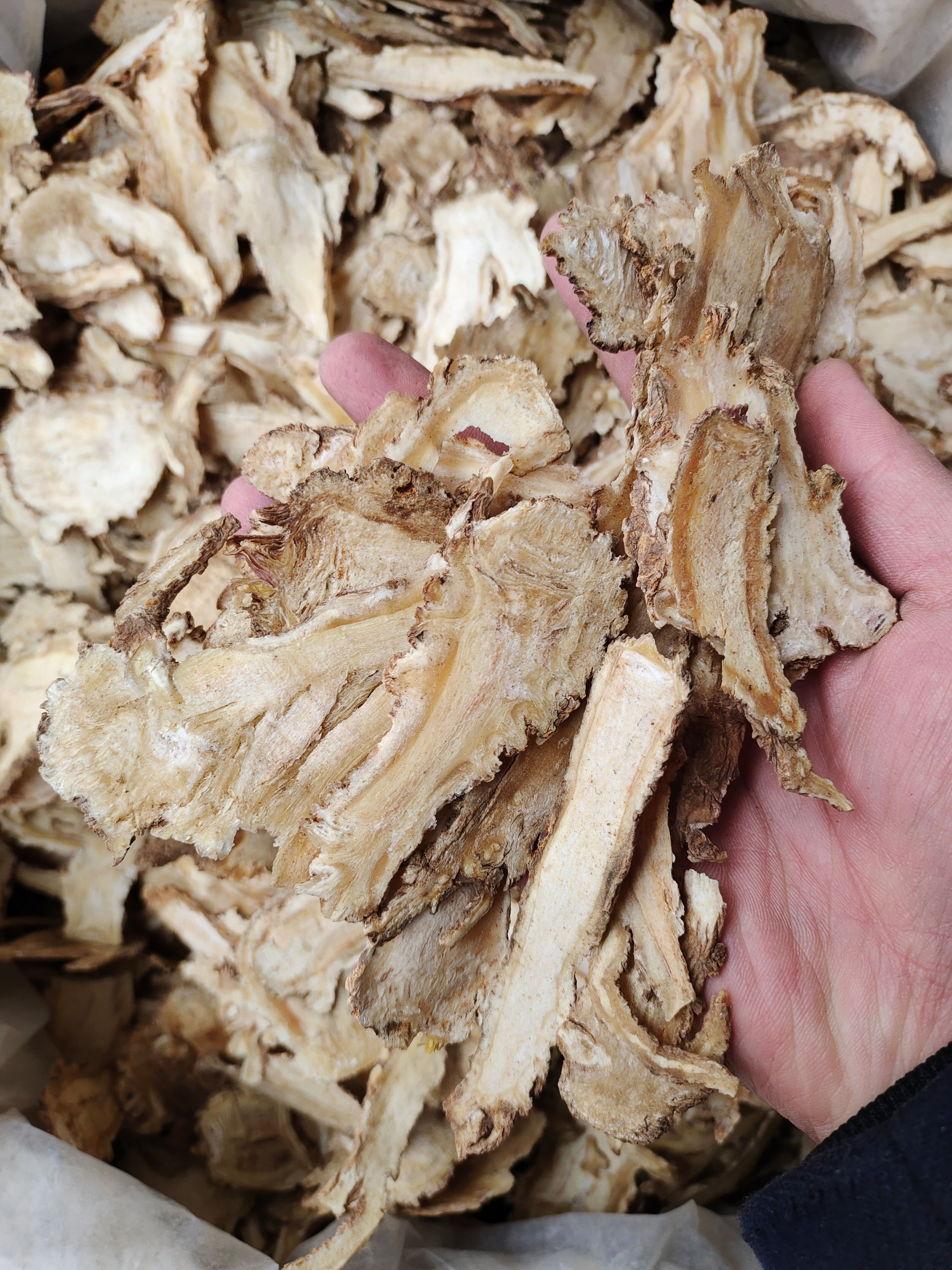 当归头片 公斤无硫当归 新货无硫 含量足 气味浓色泽自然