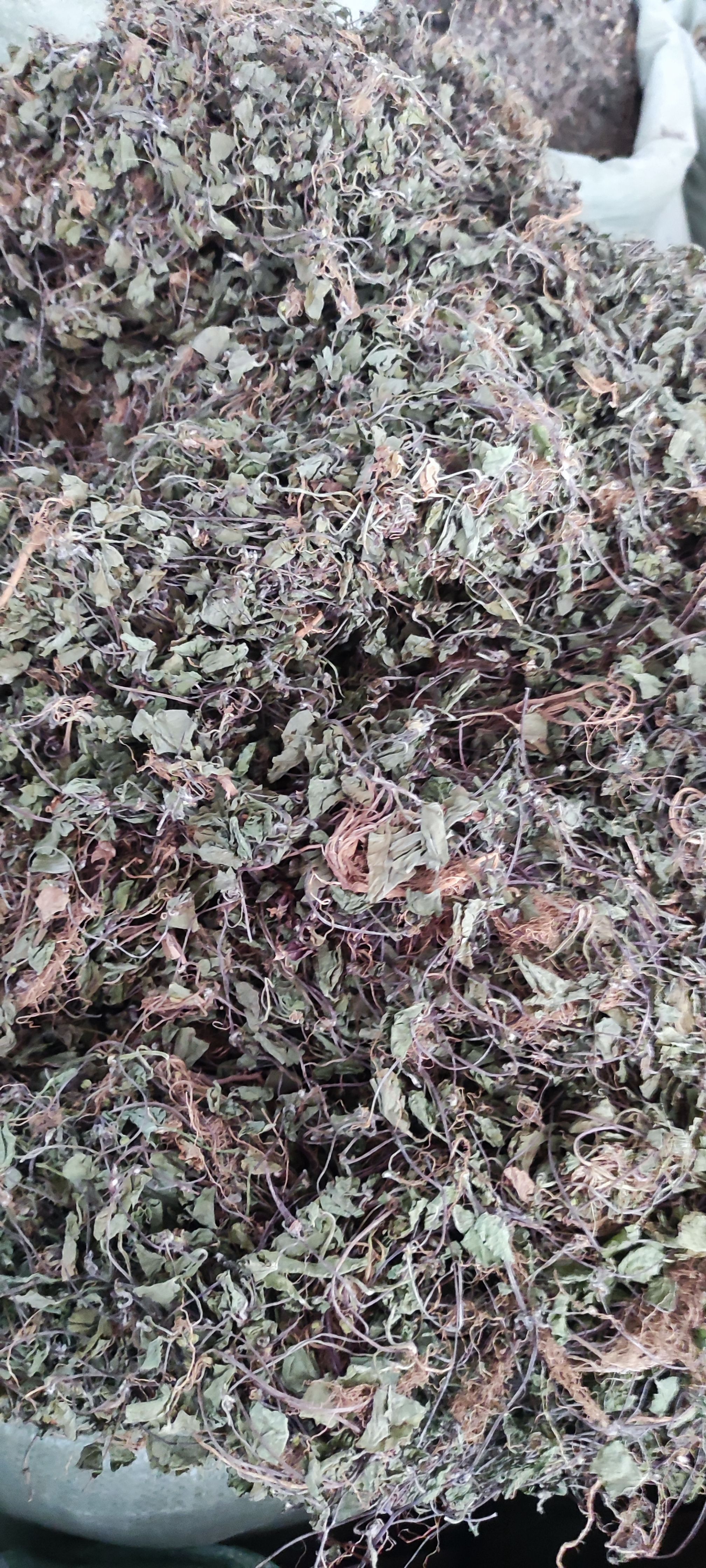 积雪草～雷公根~新货~1公斤起售~