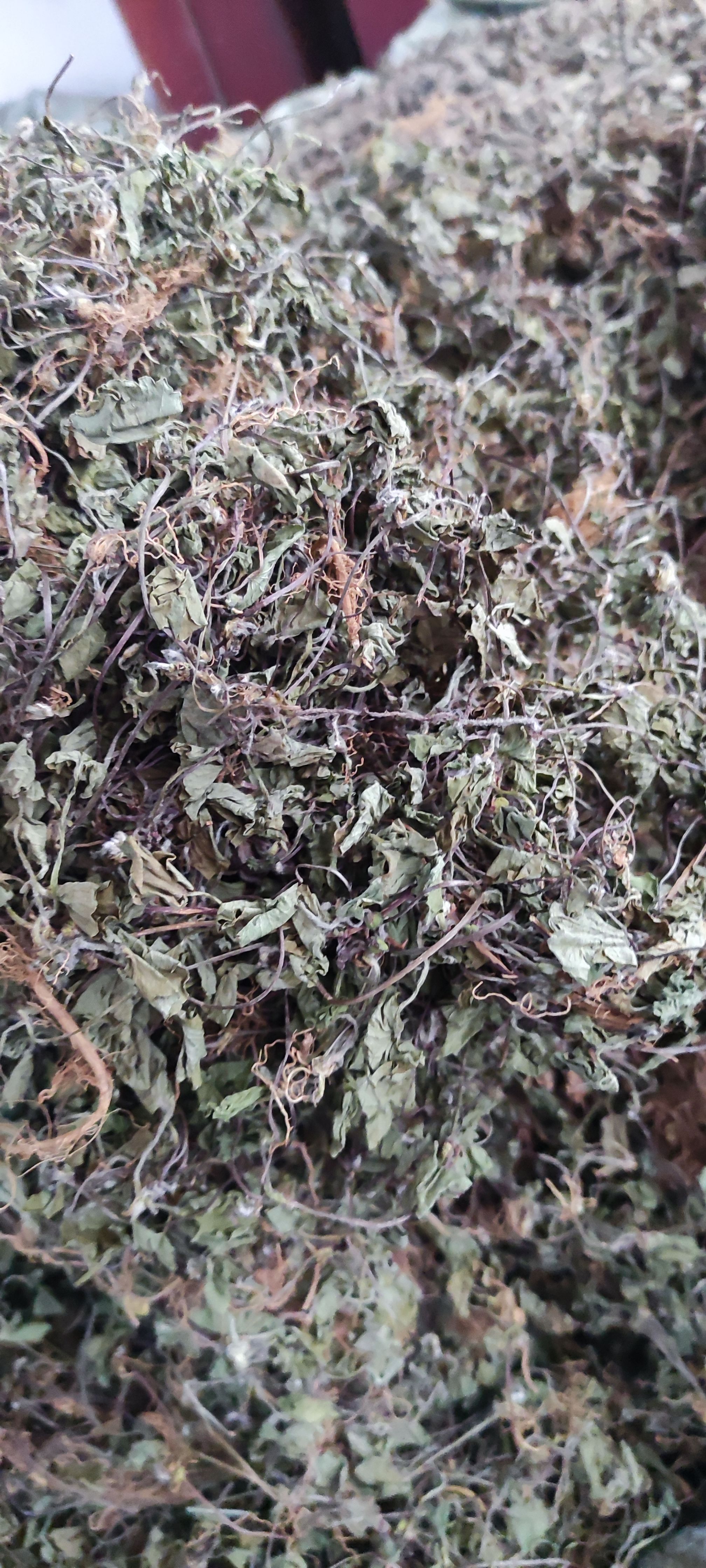 积雪草～雷公根~新货~1公斤起售~