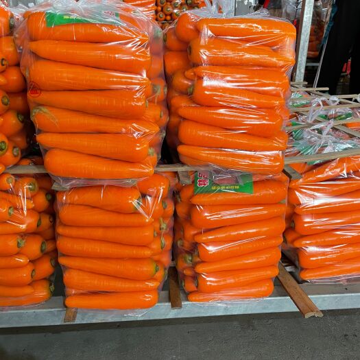 莱西市三红胡萝卜  精品水洗货