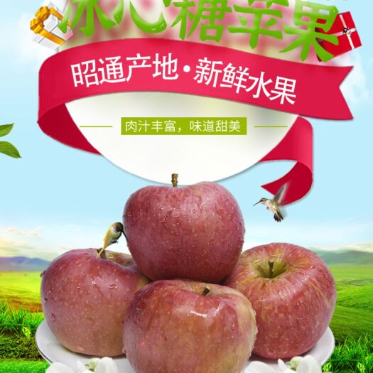 昭通红富士苹果  香甜脆丑苹果净重10斤包邮包售后