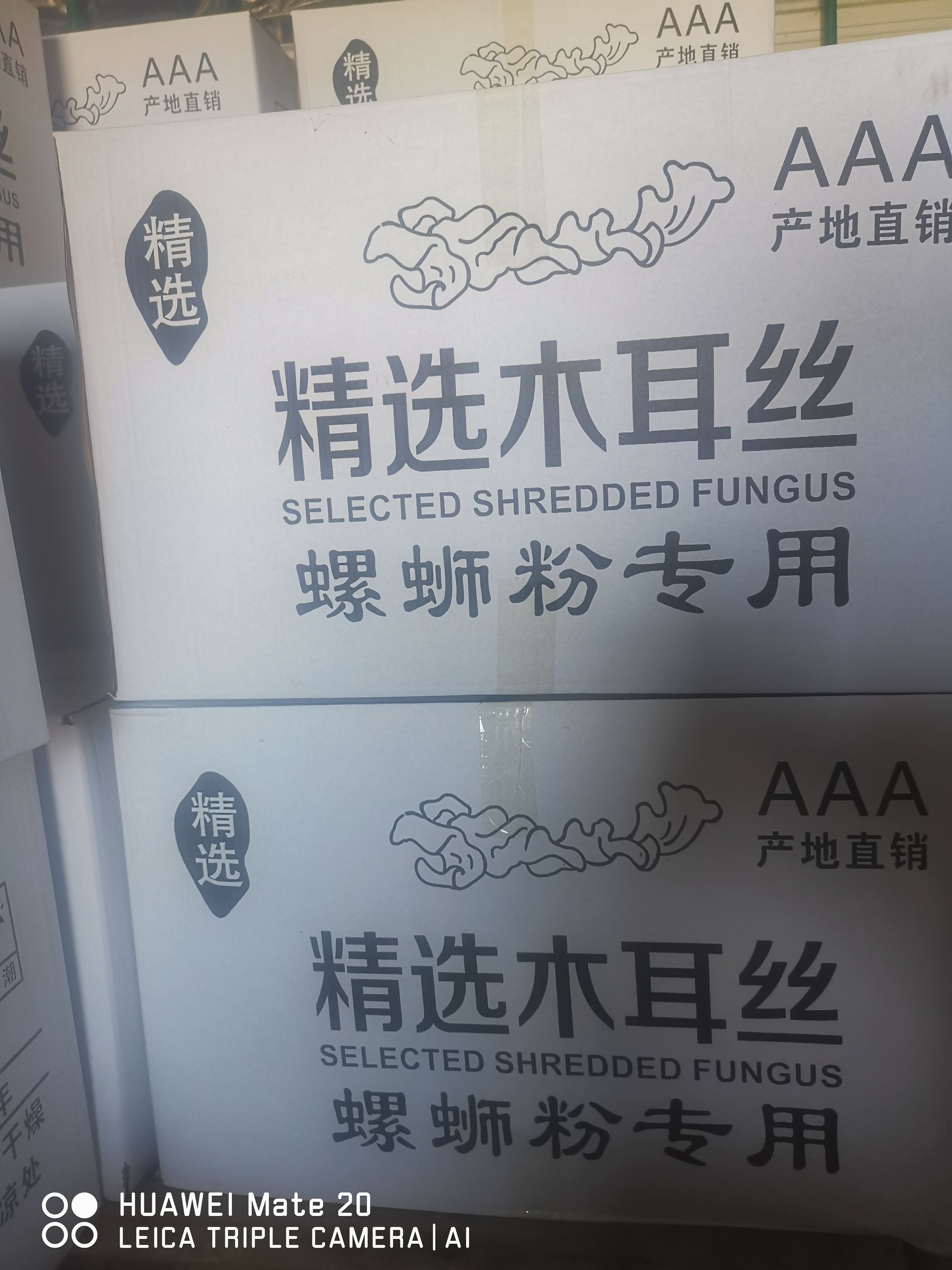 白背木耳丝 木耳丝产地直销一手货源，