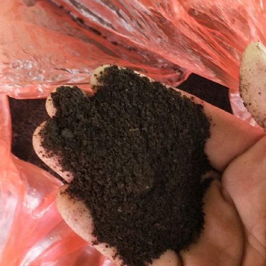 常州糟渣类饲料 咖啡渣
