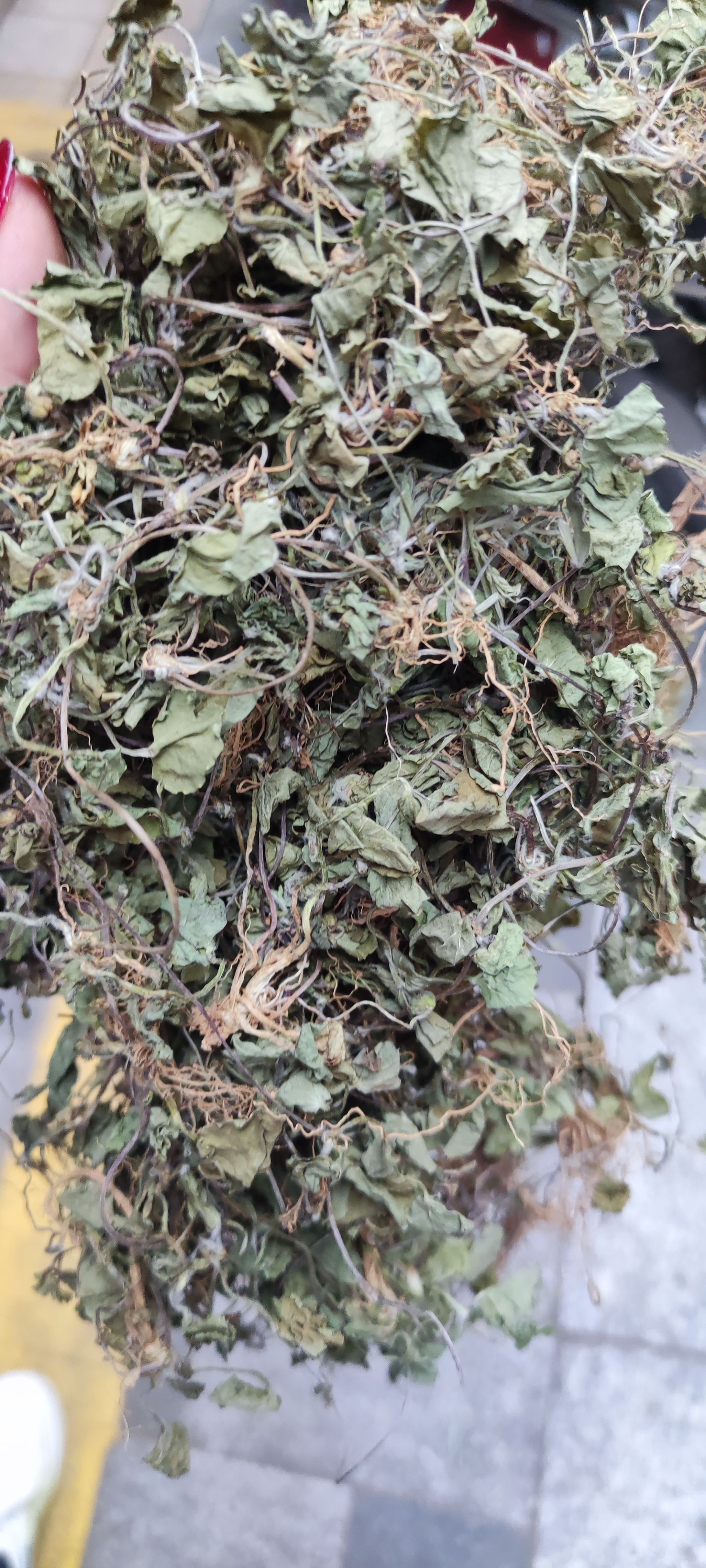 积雪草～雷公根~新货~1公斤起售~