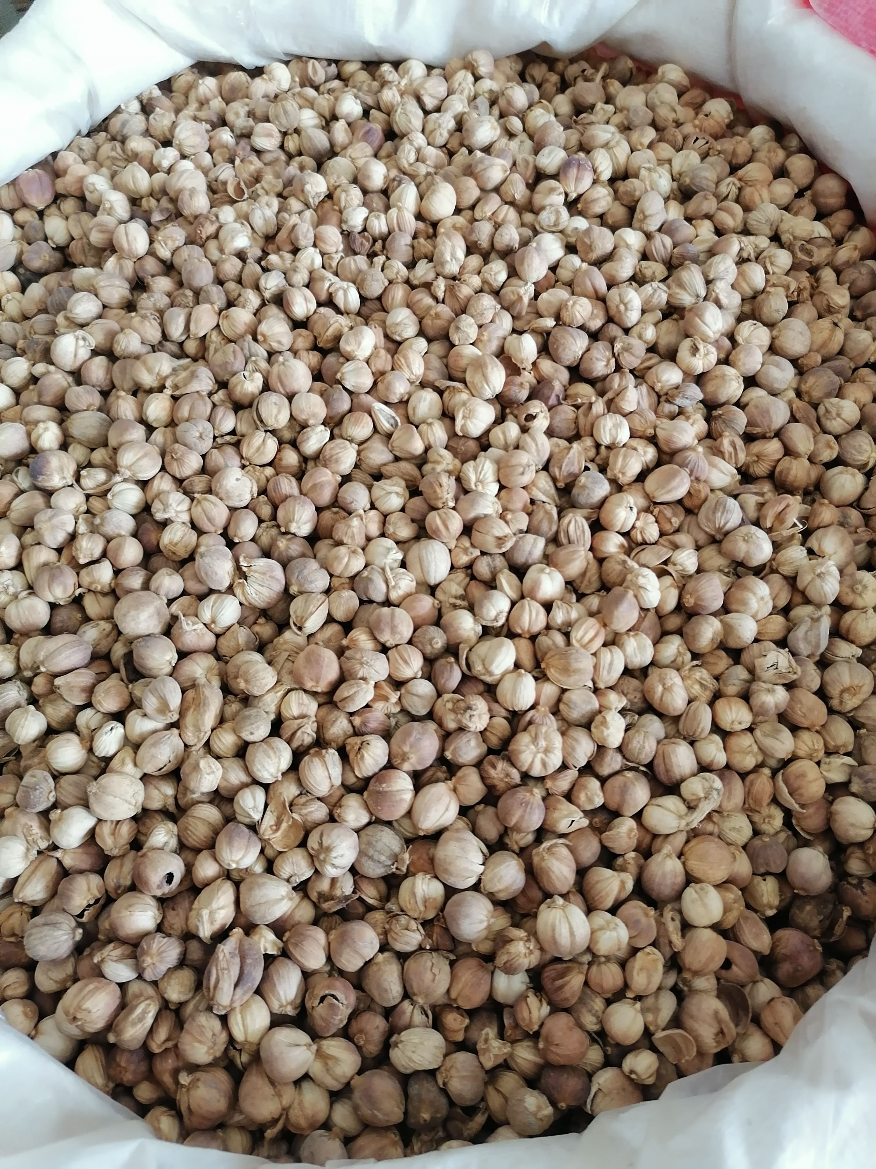 白蔻，豆蔻，白豆蔻，纯实物拍摄，量大从优！