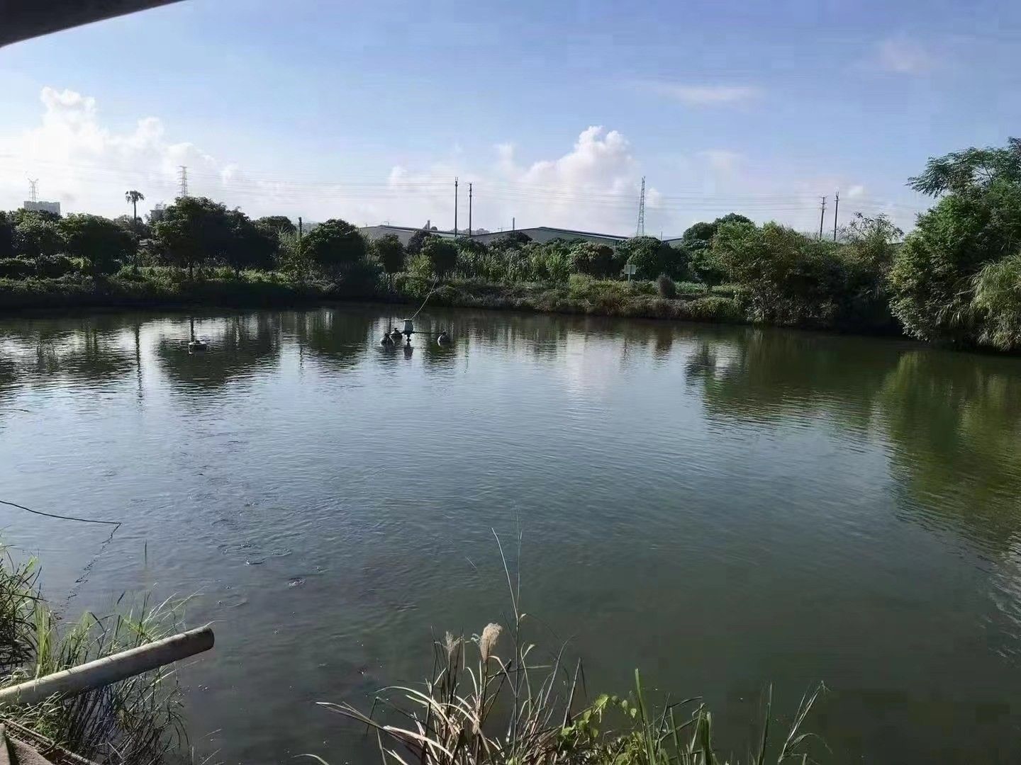 坑塘  从化城郊街，占地7亩左右鱼塘，已建平房200平左右！