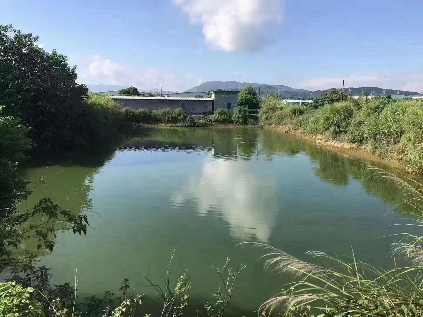 坑塘  从化城郊街，占地7亩左右鱼塘，已建平房200平左右！