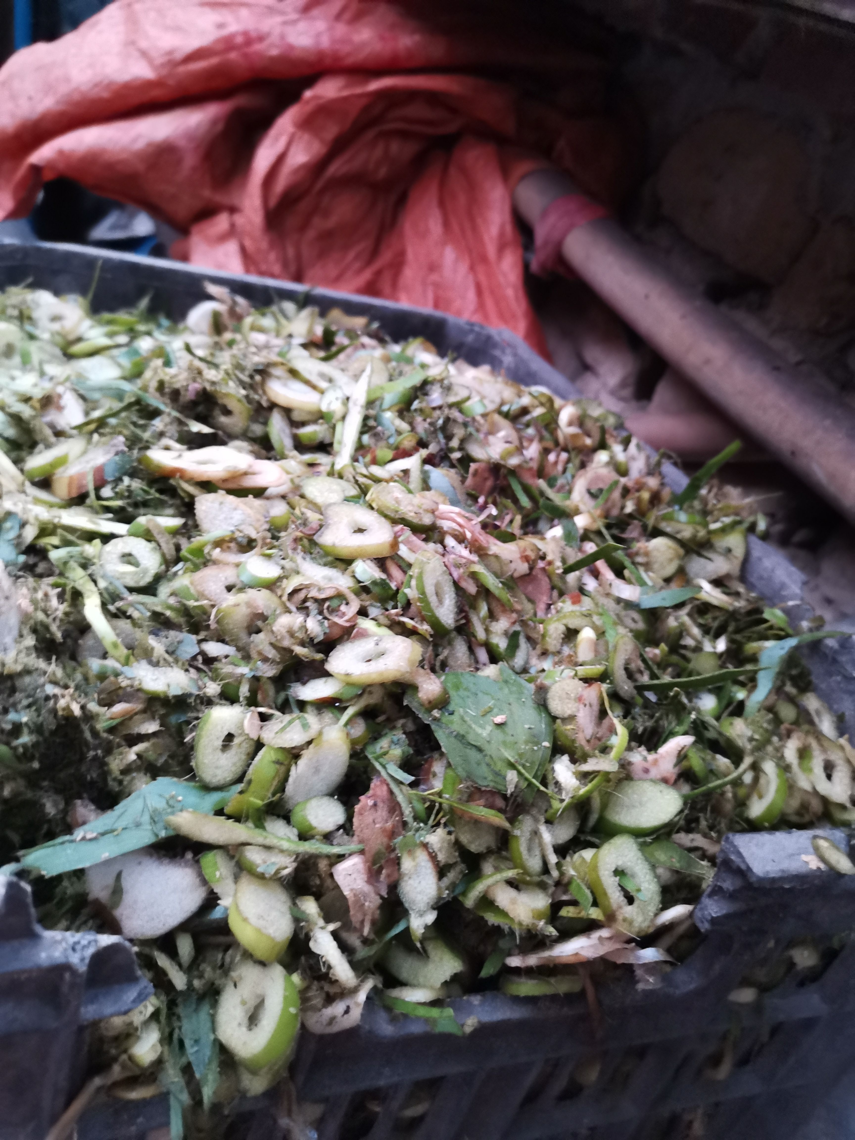 坚决做诚信的土鸭