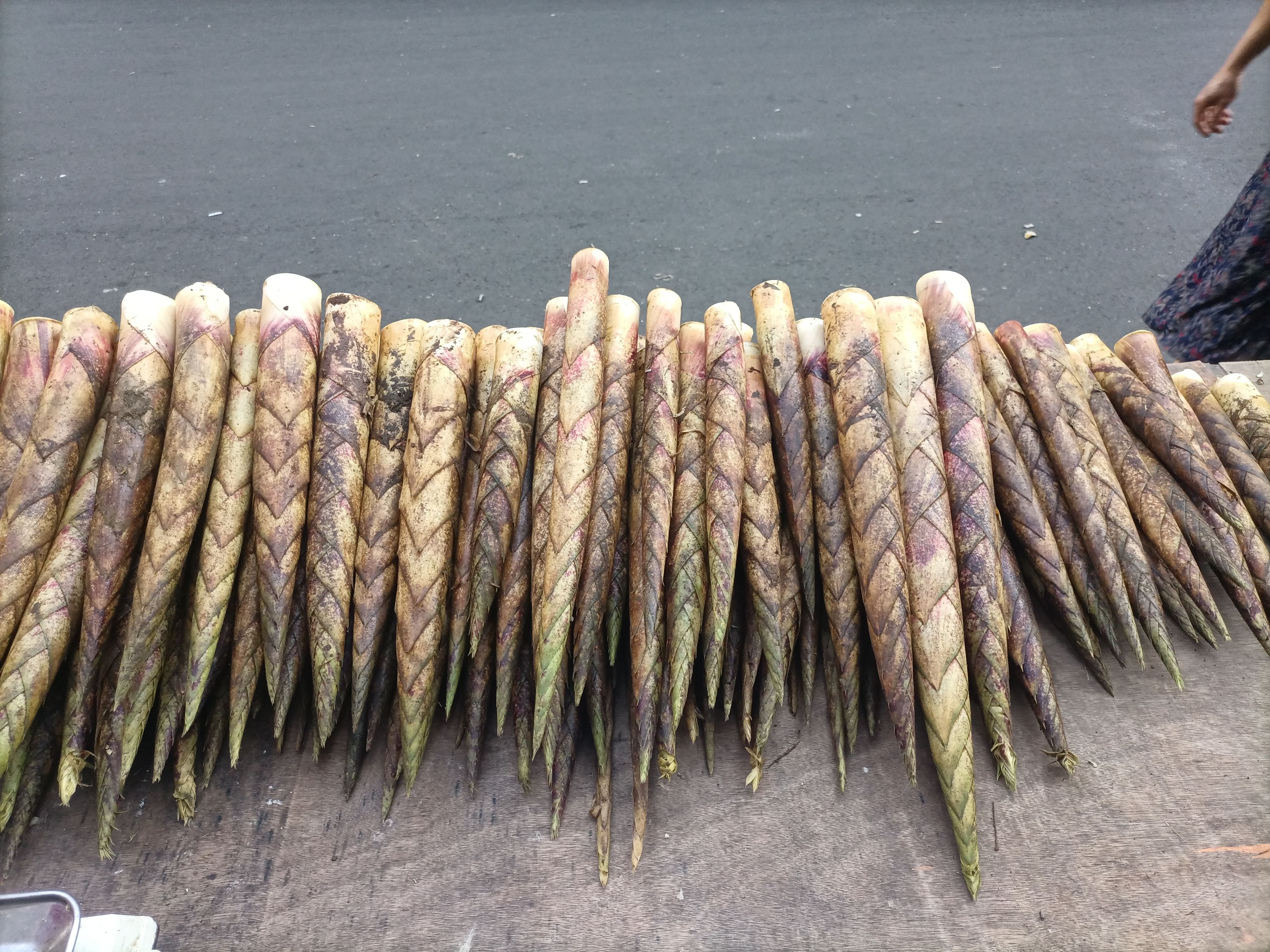  牛尾笋 可炒 烧 凉拌