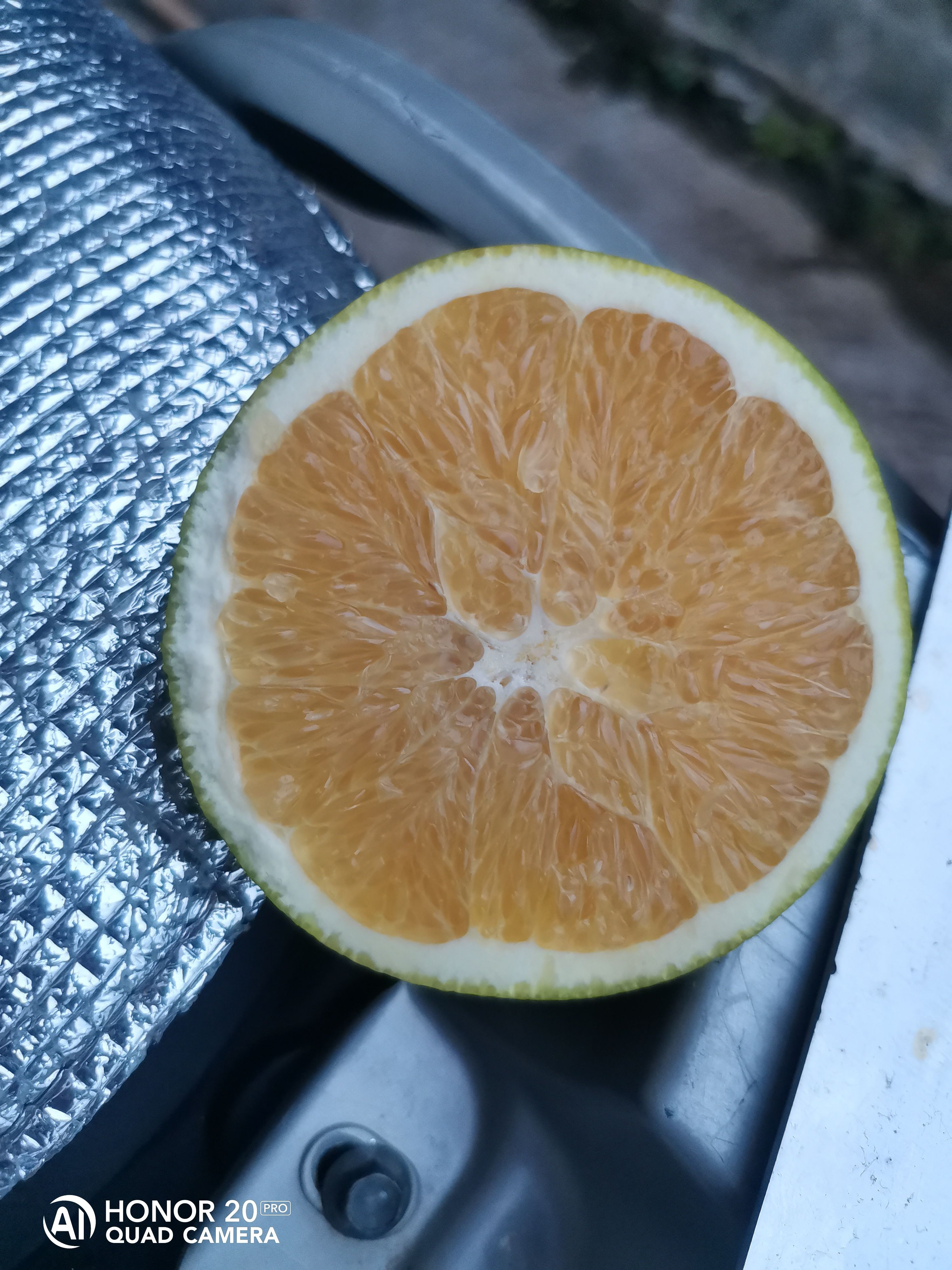 赣南脐橙98一箱二十斤包邮