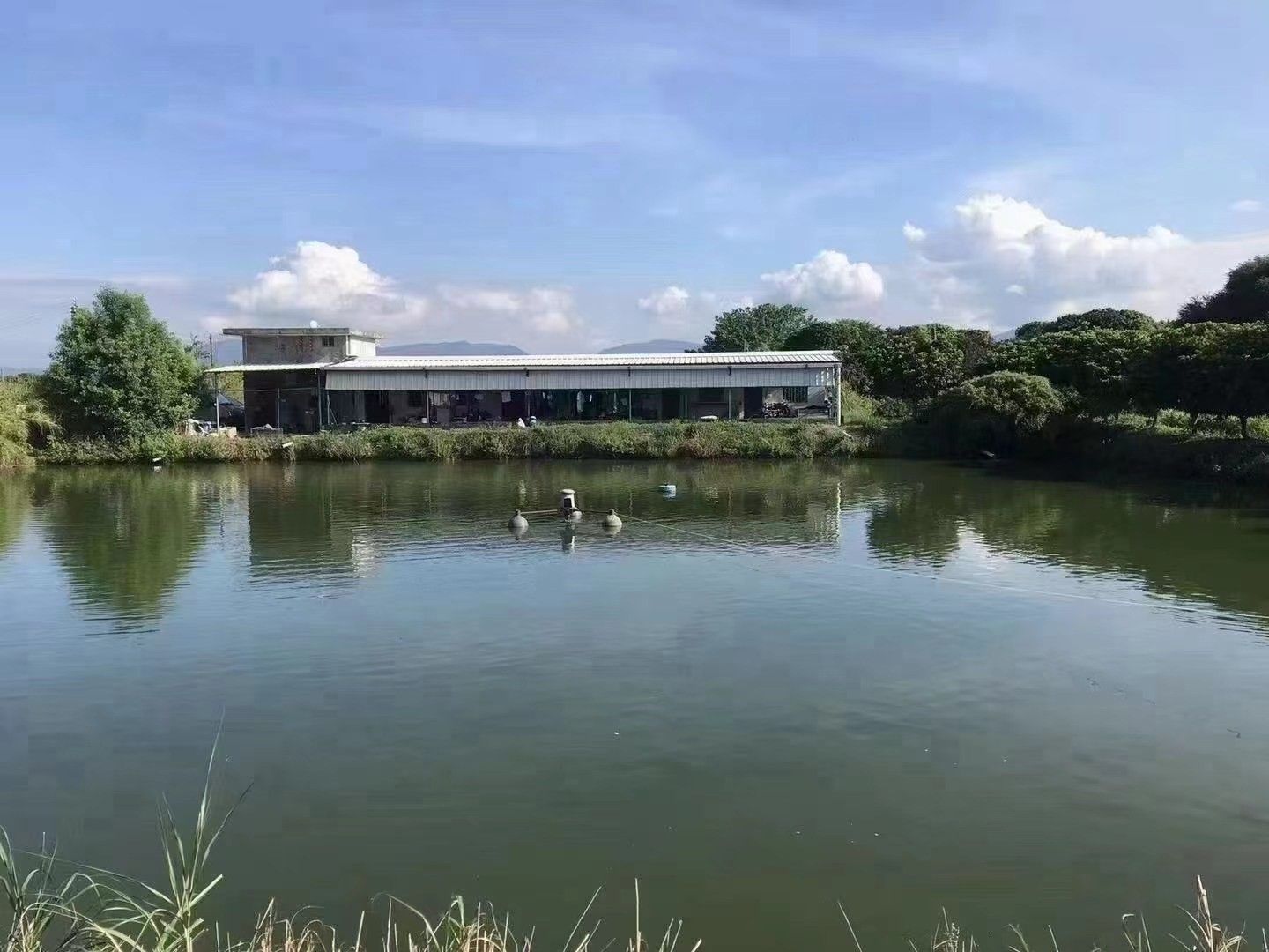 坑塘  从化城郊街，占地7亩左右鱼塘，已建平房200平左右！