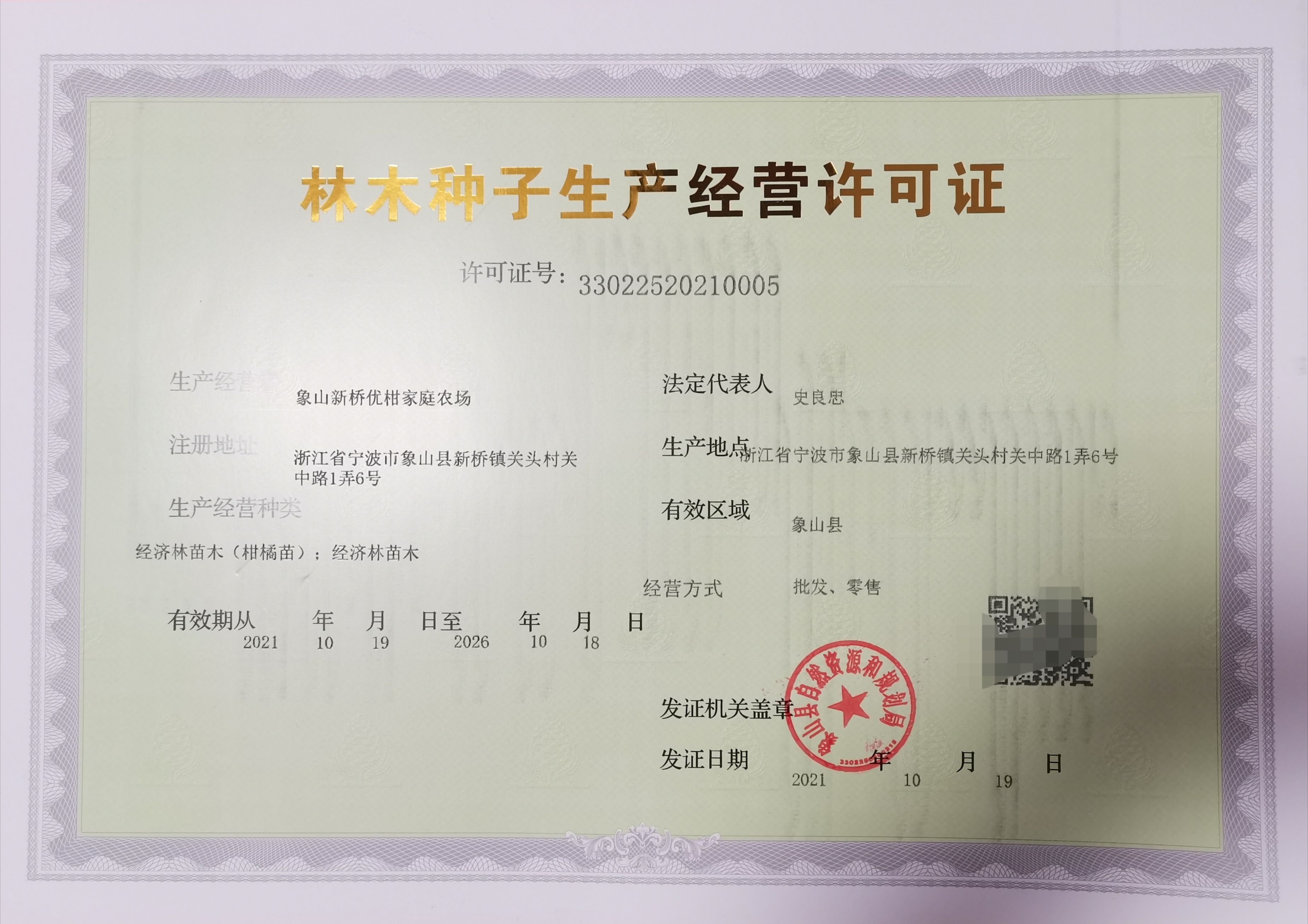 爱媛28号柑桔苗  红美人爱媛28号 苗木正宗 证照齐全