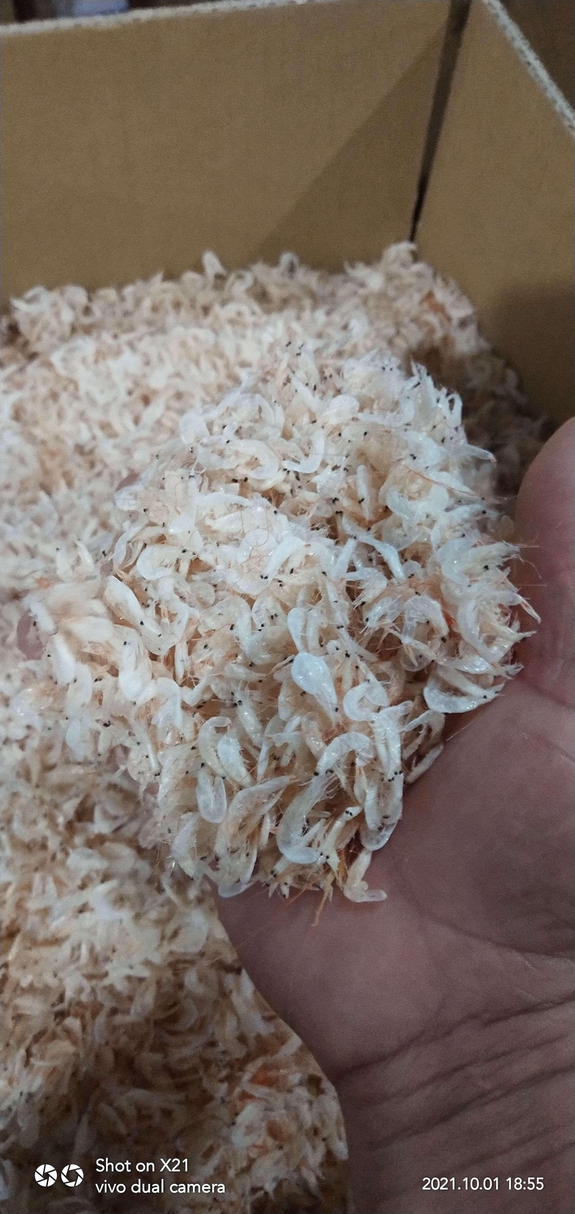 淡干虾皮，老幼皆宜。