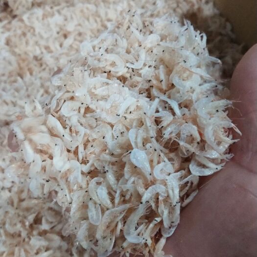 日照淡干虾皮，老幼皆宜。