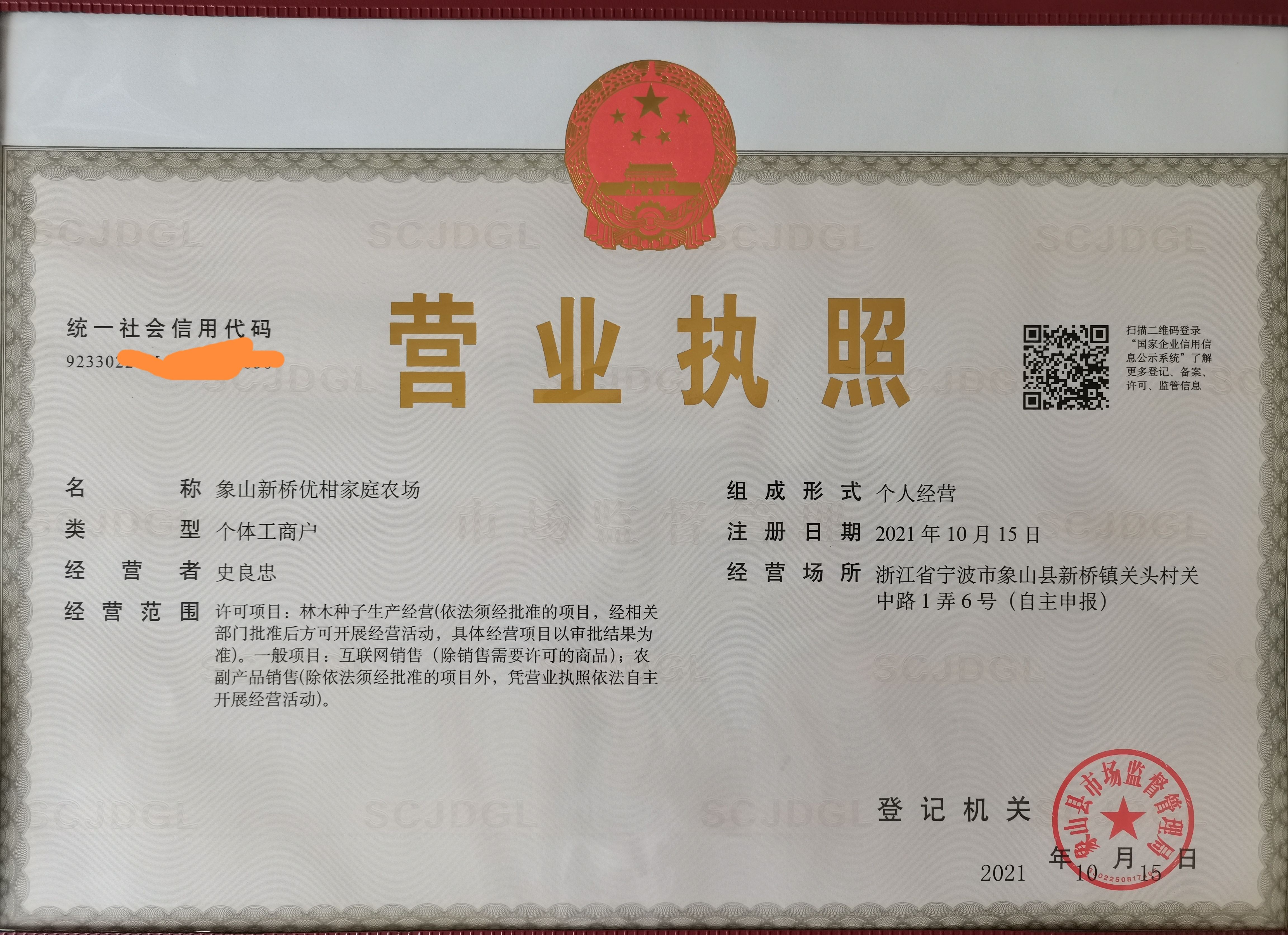 爱媛28号柑桔苗  红美人爱媛28号 苗木正宗 证照齐全