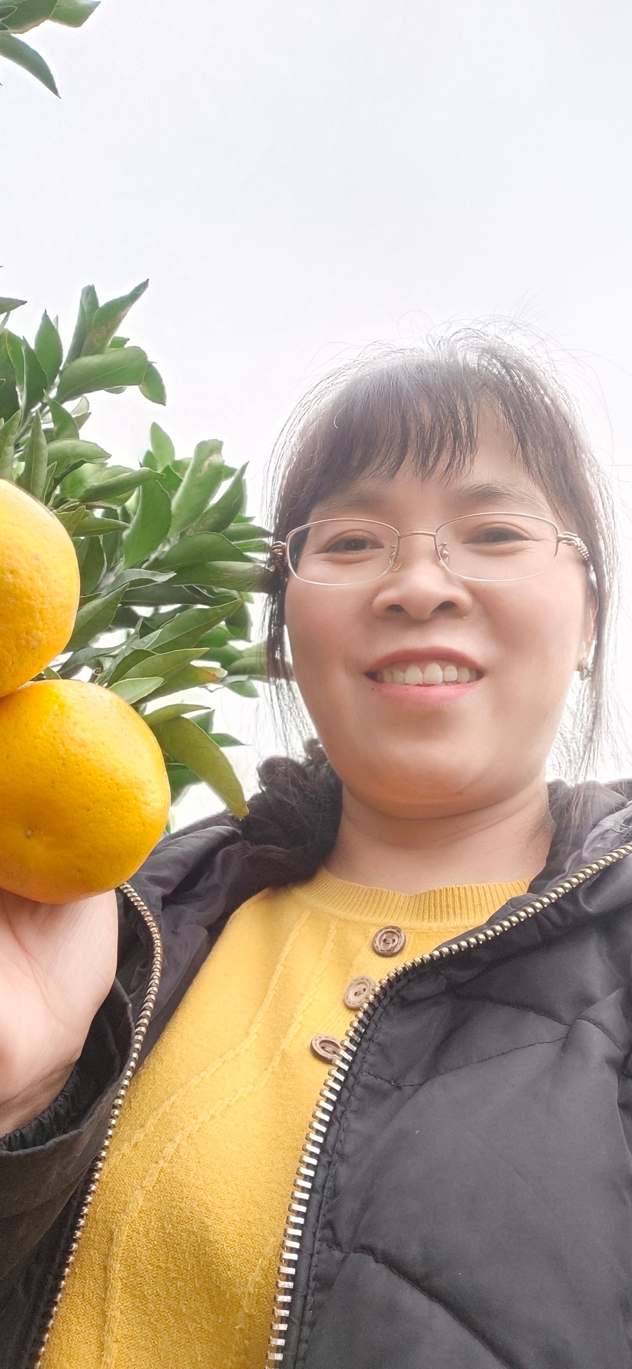 爱媛橙  爱媛38号果冻橙四川主产地货源一件代发