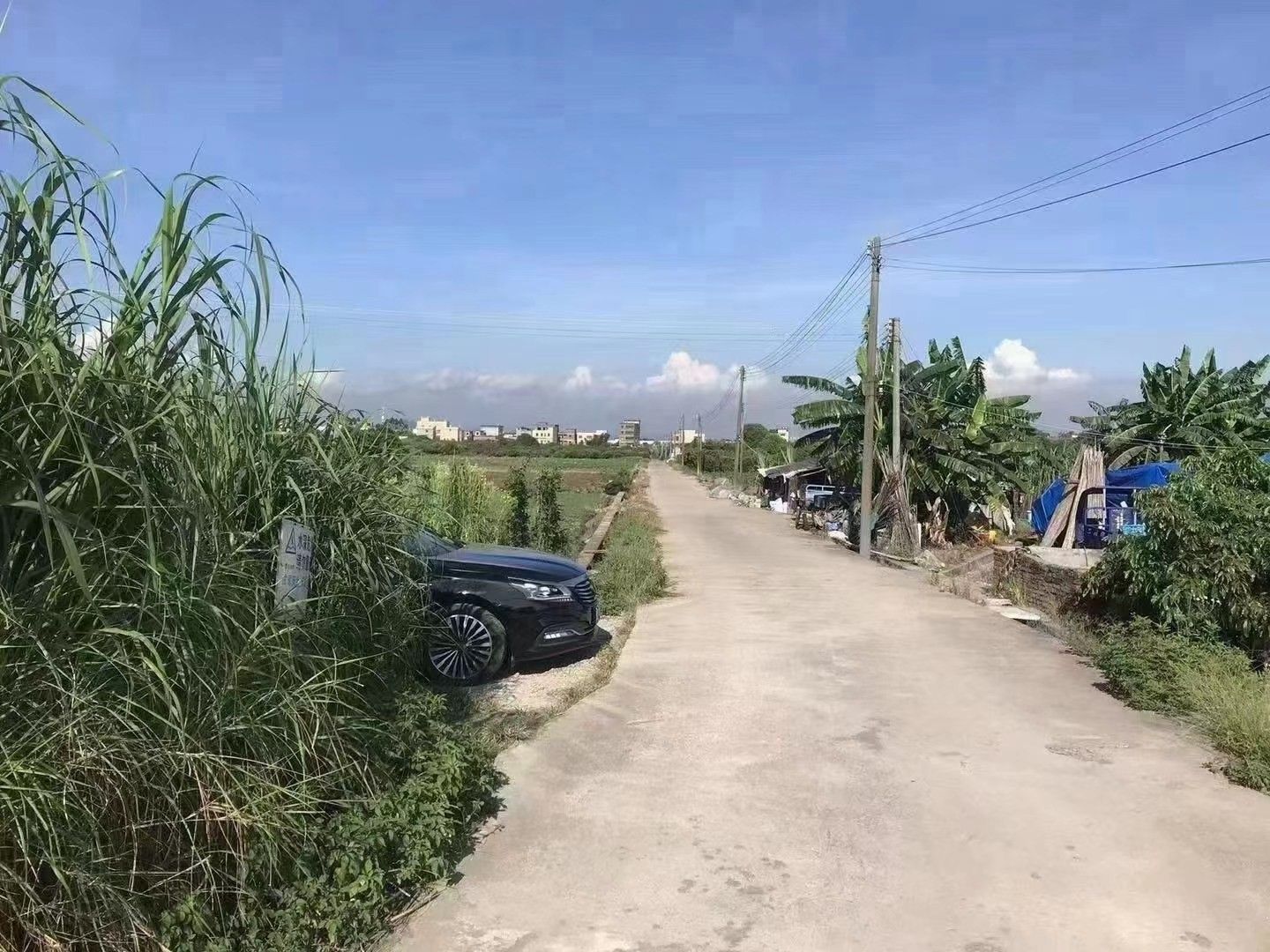 坑塘  从化城郊街，占地7亩左右鱼塘，已建平房200平左右！