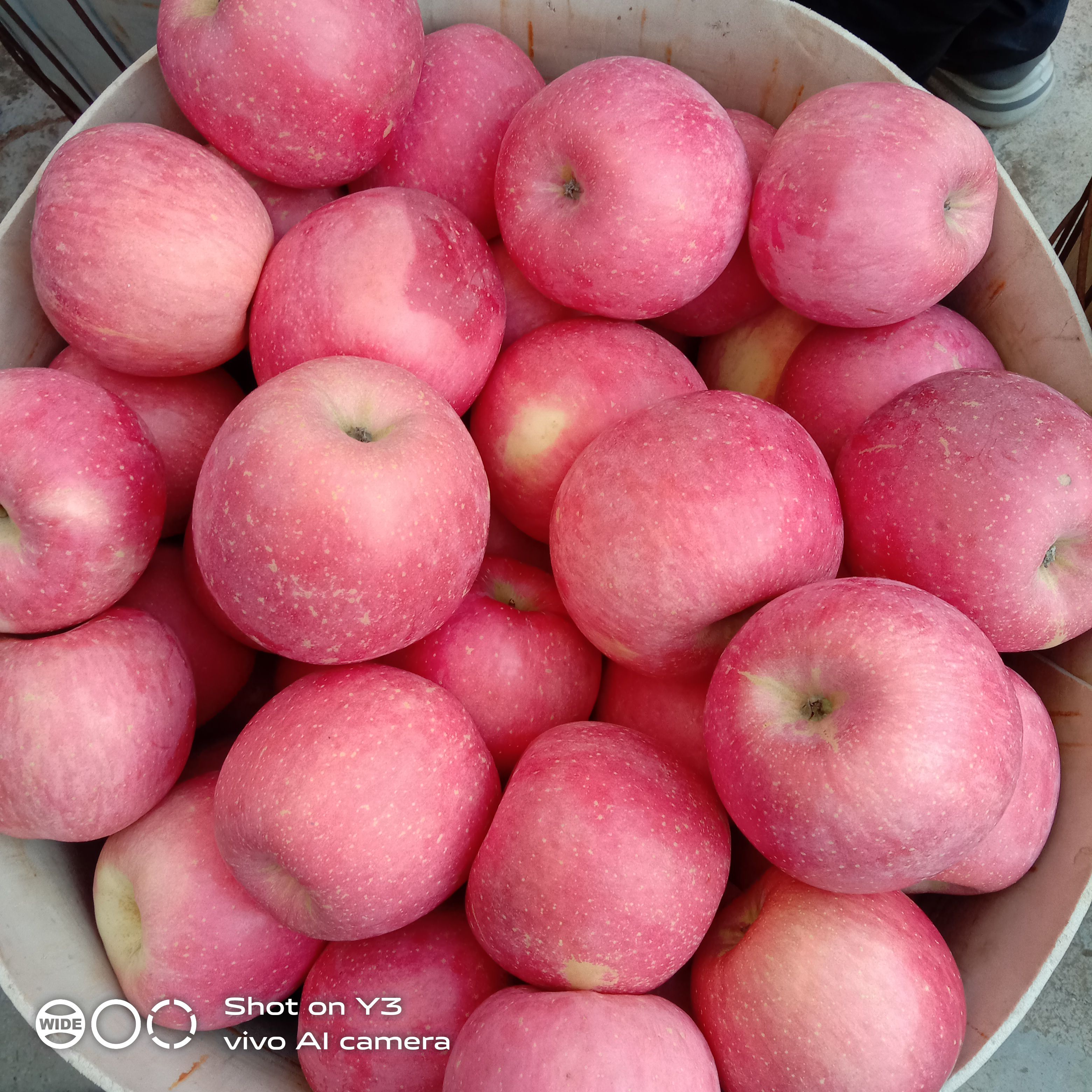 精品特选特大个红富士苹果