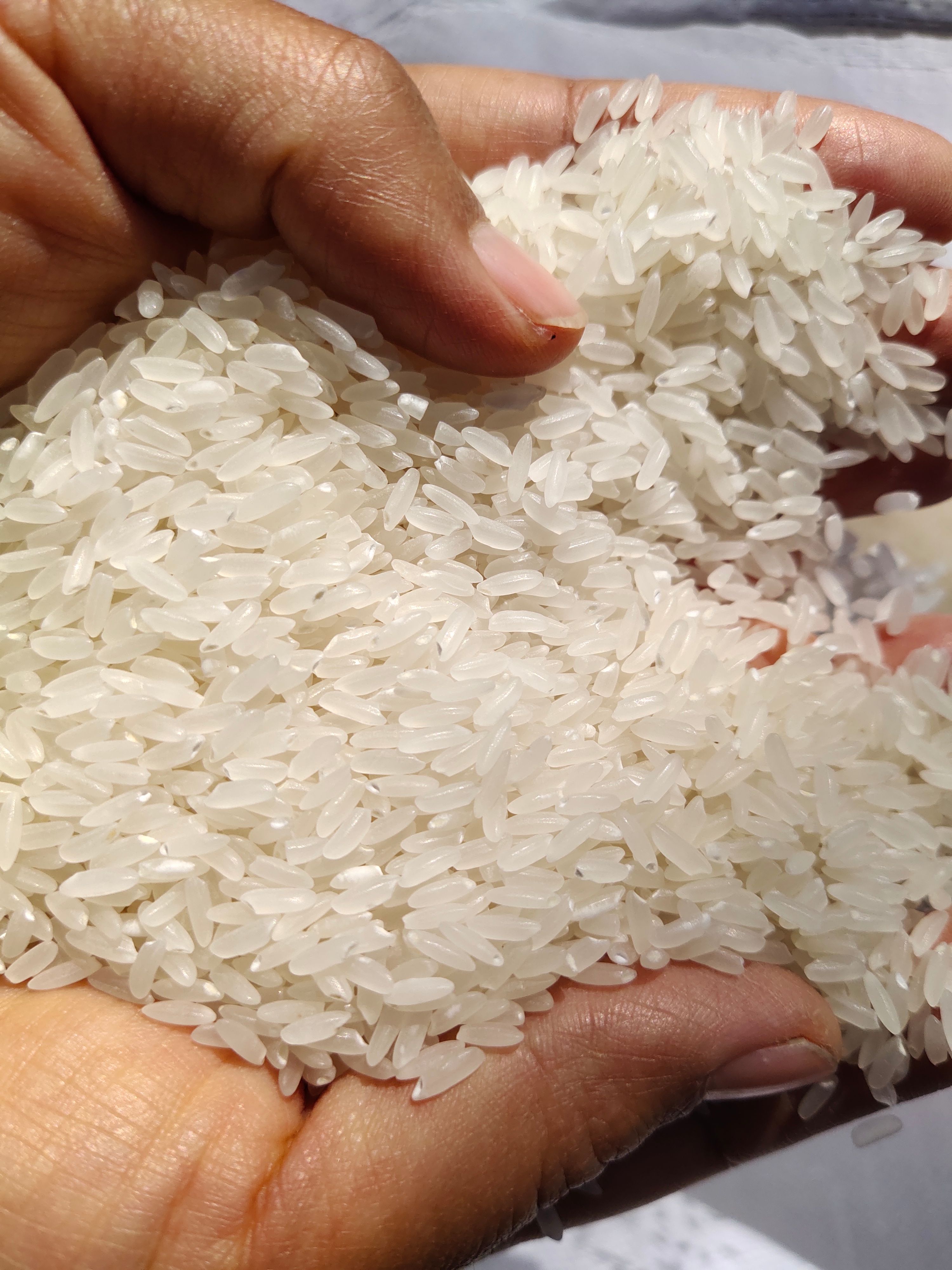 香米  2022年  东北大米 香软可口 原产地发货