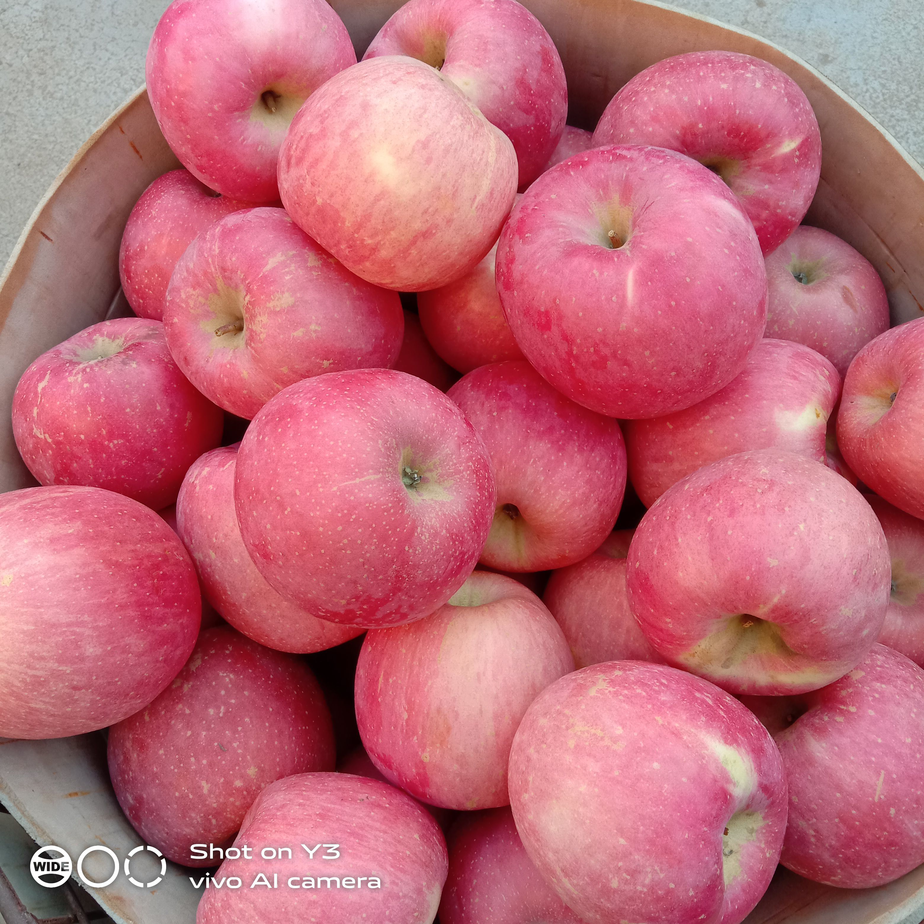 精品特选特大个红富士苹果