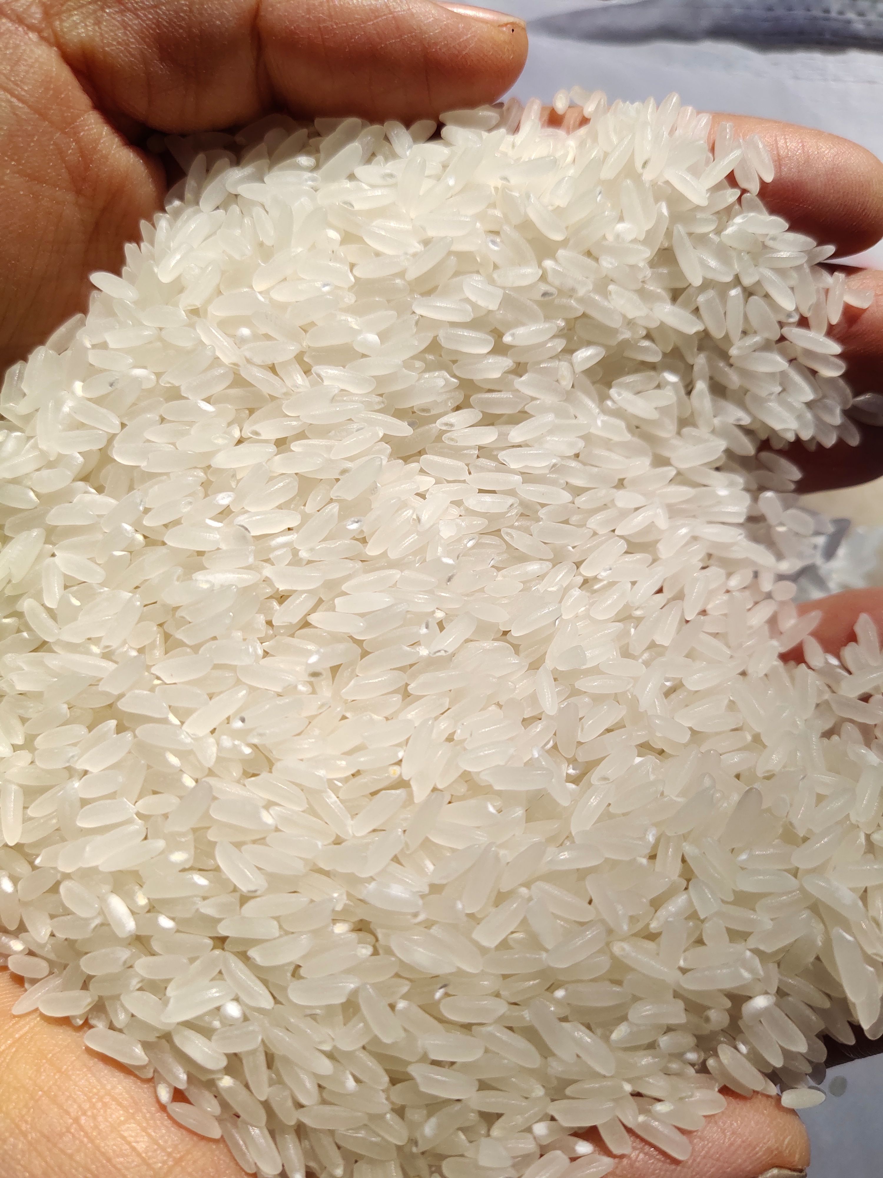 香米  2022年  东北大米 香软可口 原产地发货