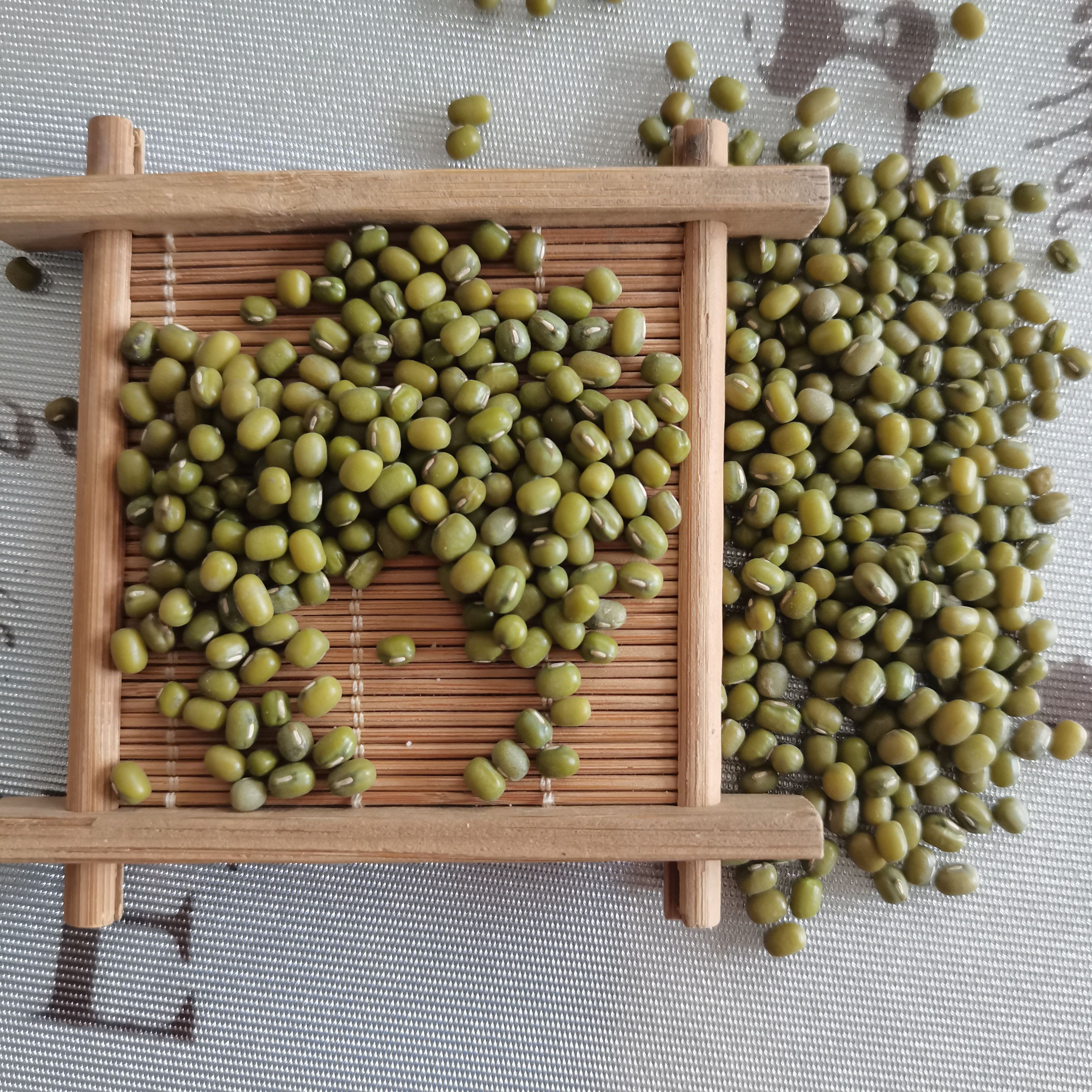 绿芽豆  芽豆绿豆  中小粒  绿豆生豆芽专用，中粒芽豆