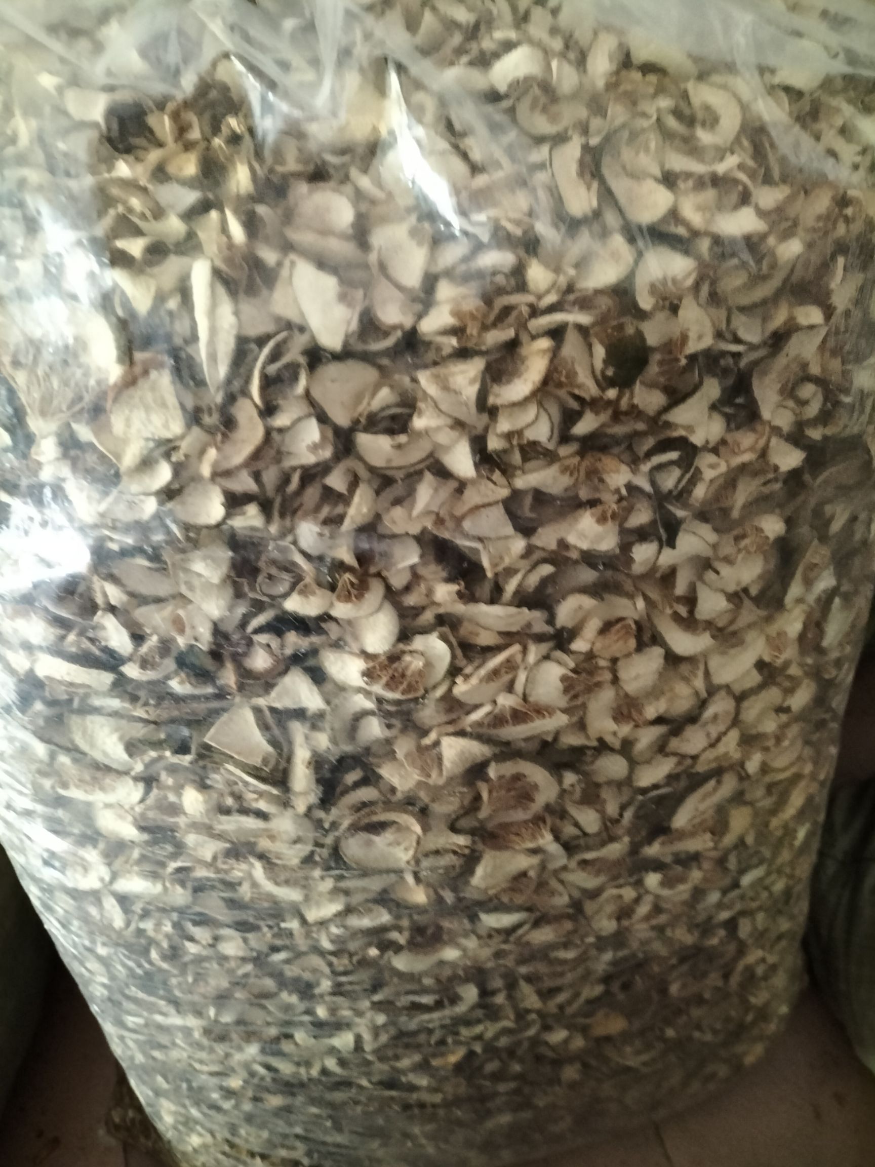 巴中中药材  天然枳壳  无硫自然晒干